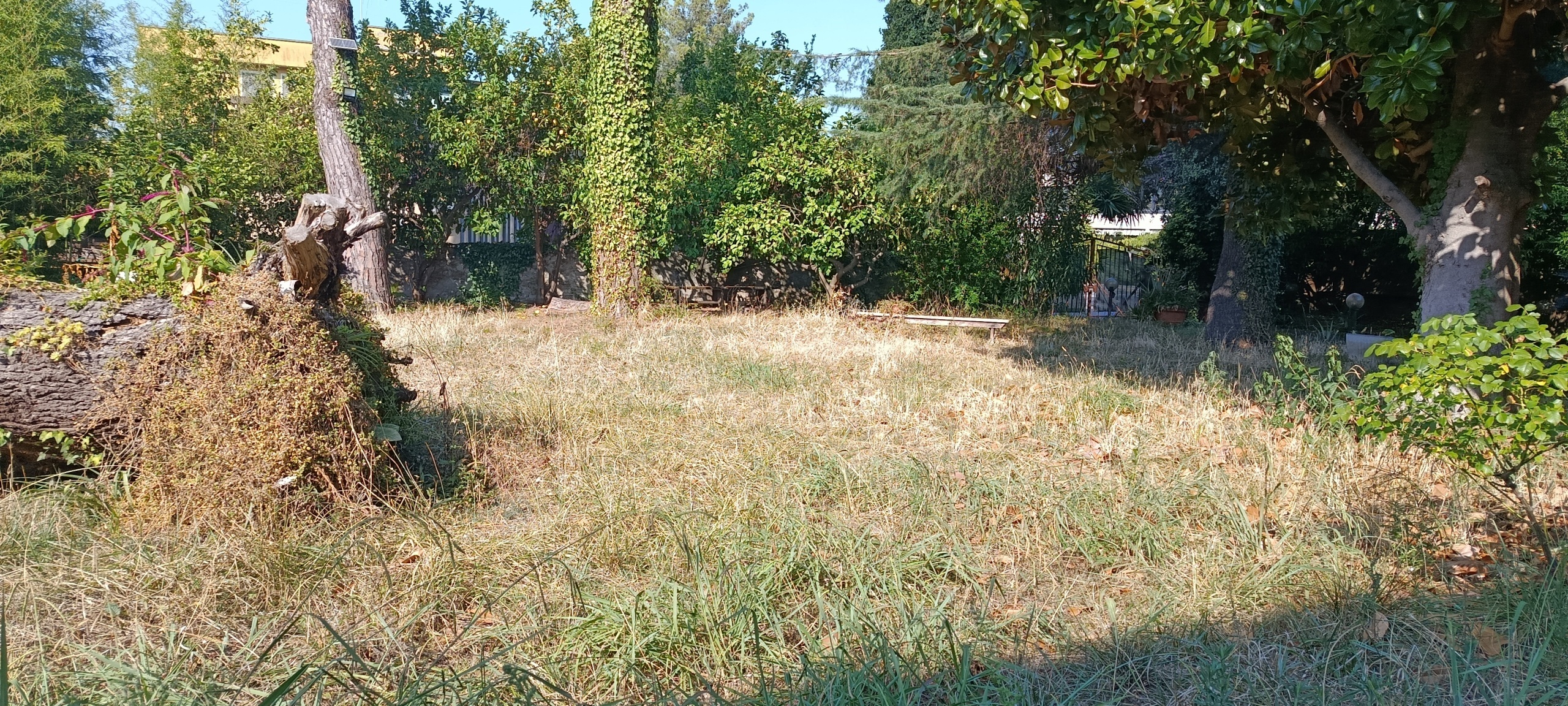 Loft da ristrutturare a Massarosa
