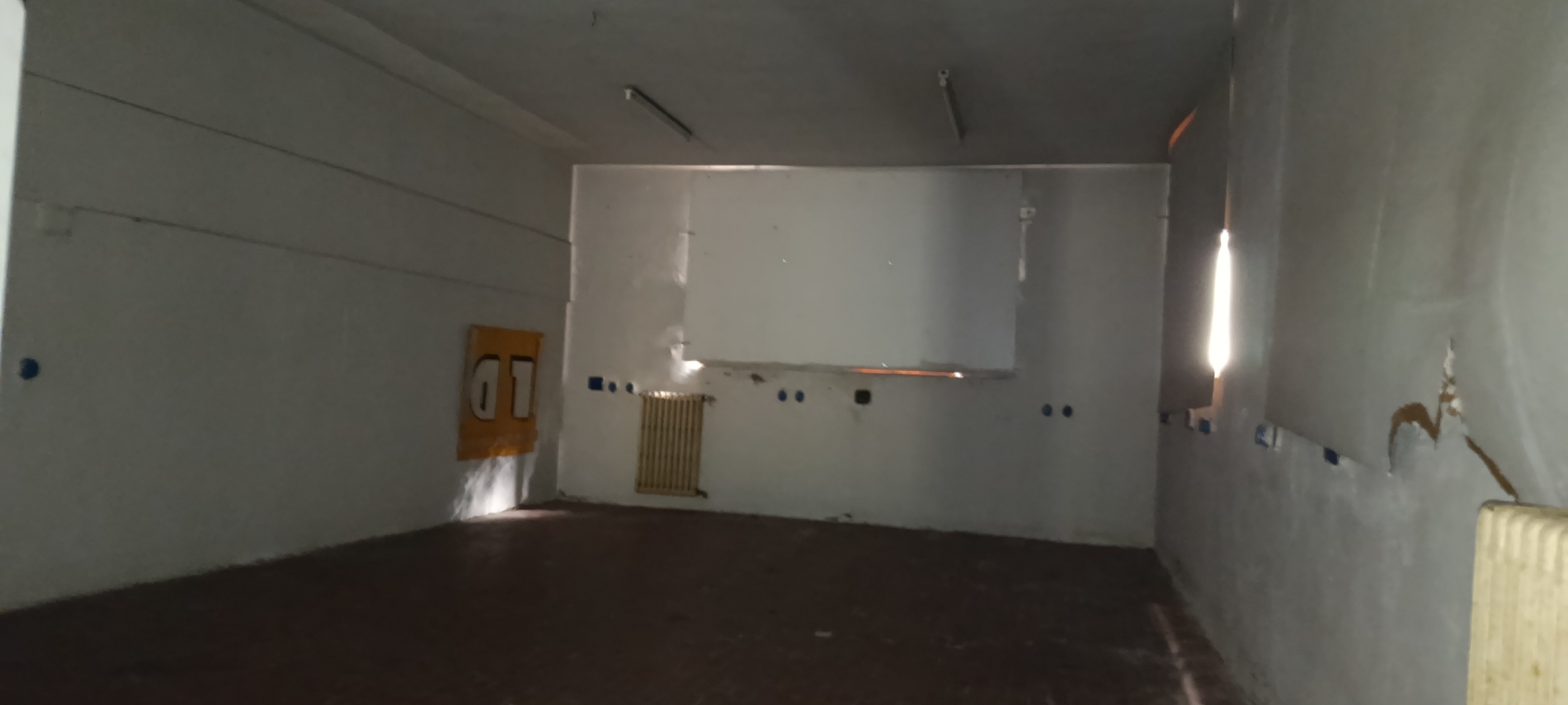 Loft da ristrutturare a Massarosa