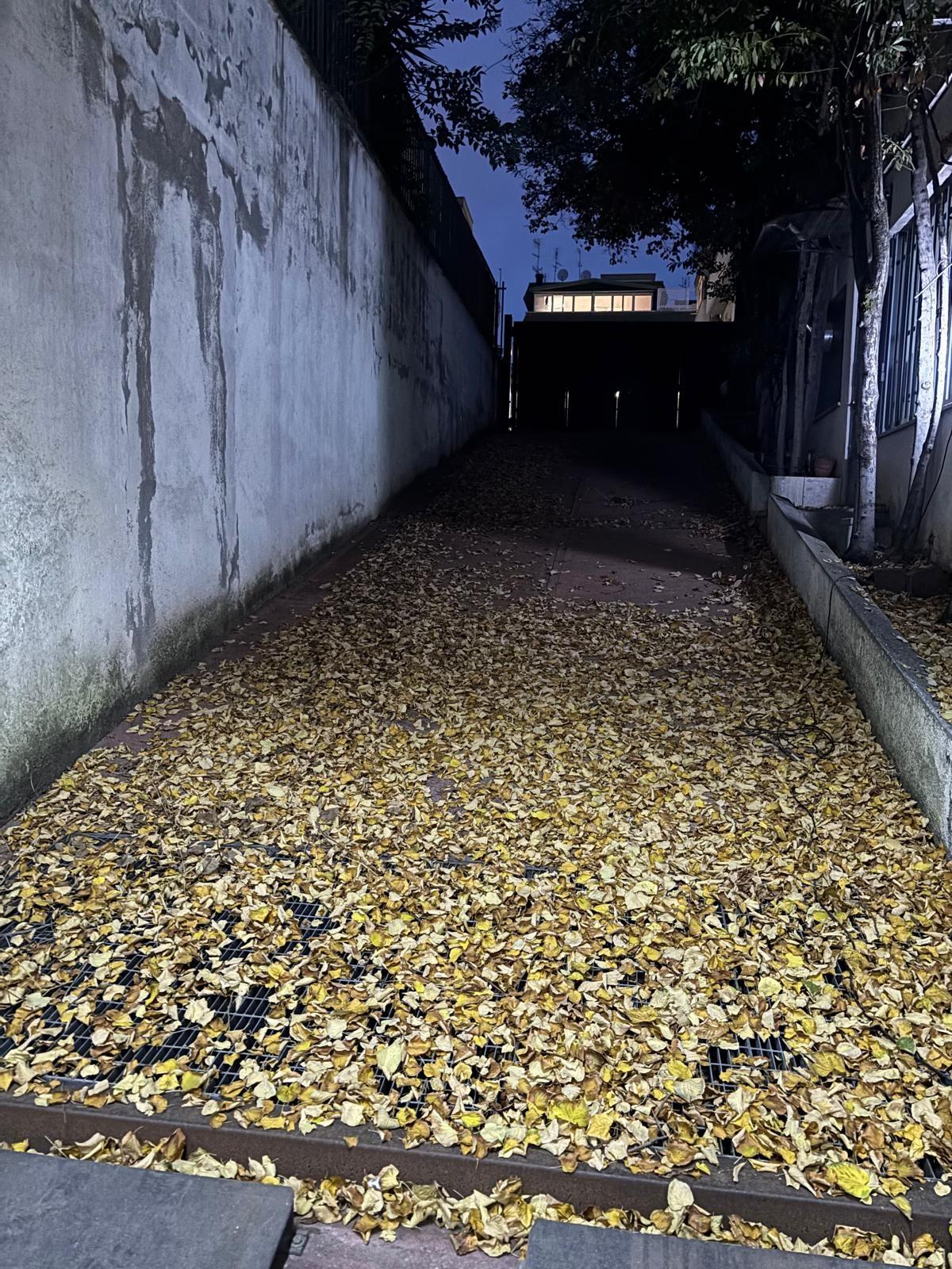 Laboratorio in affitto a Roma