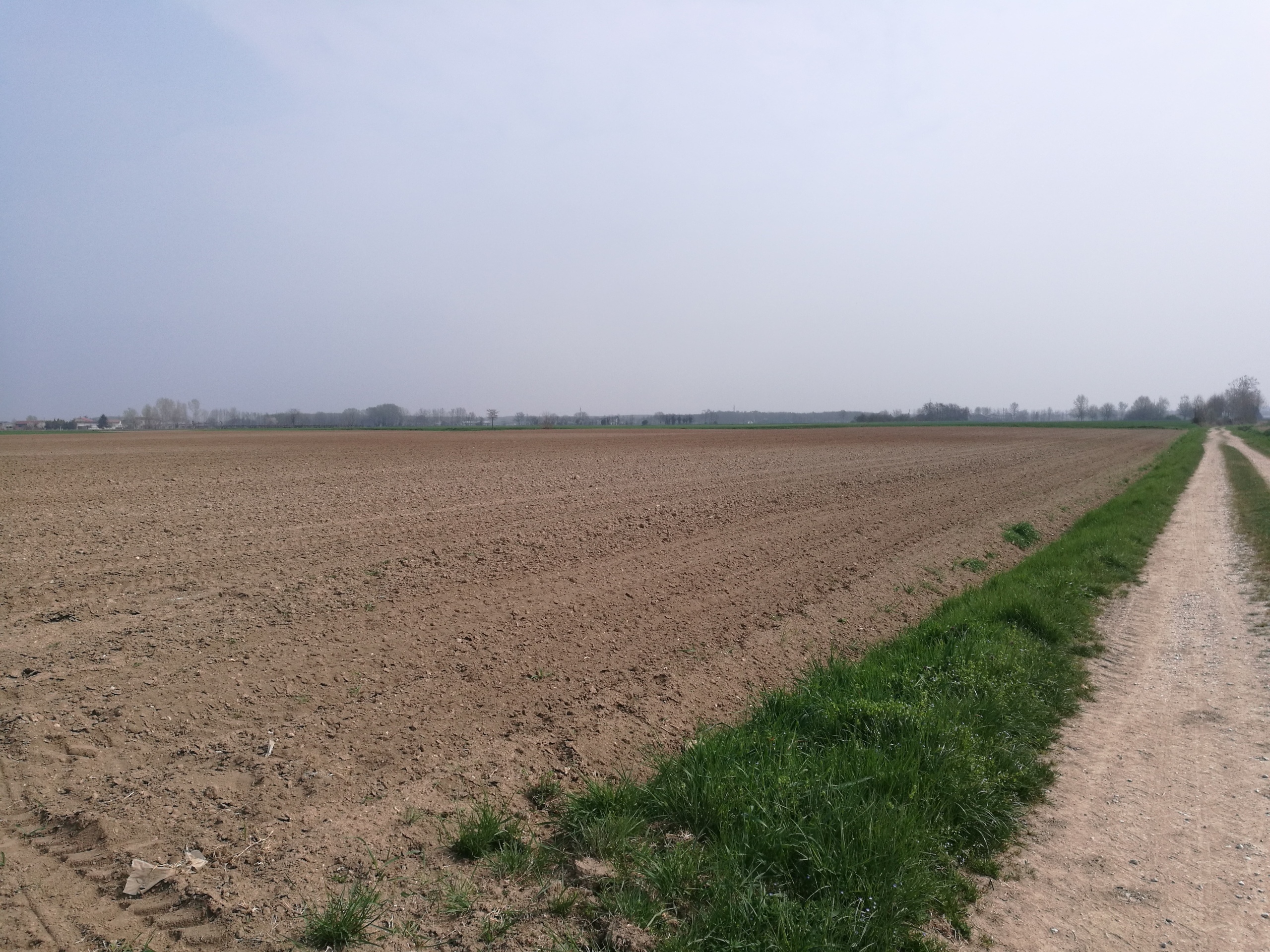 Terreno Agricolo in vendita in via dossi superiori, Gussola