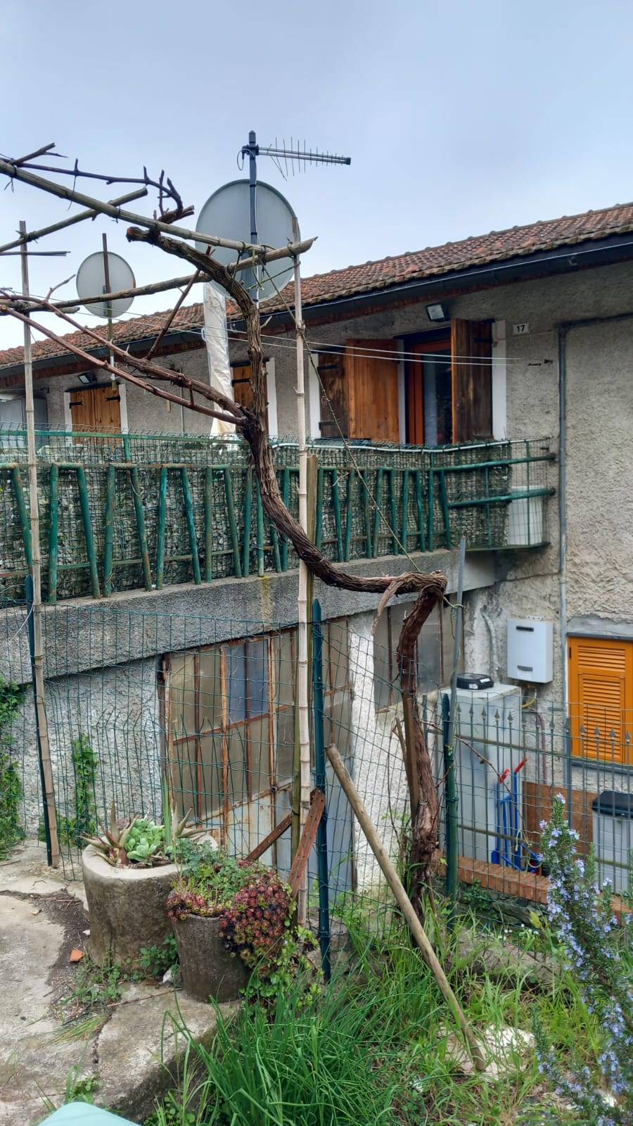 immagine annuncio 2 di 10