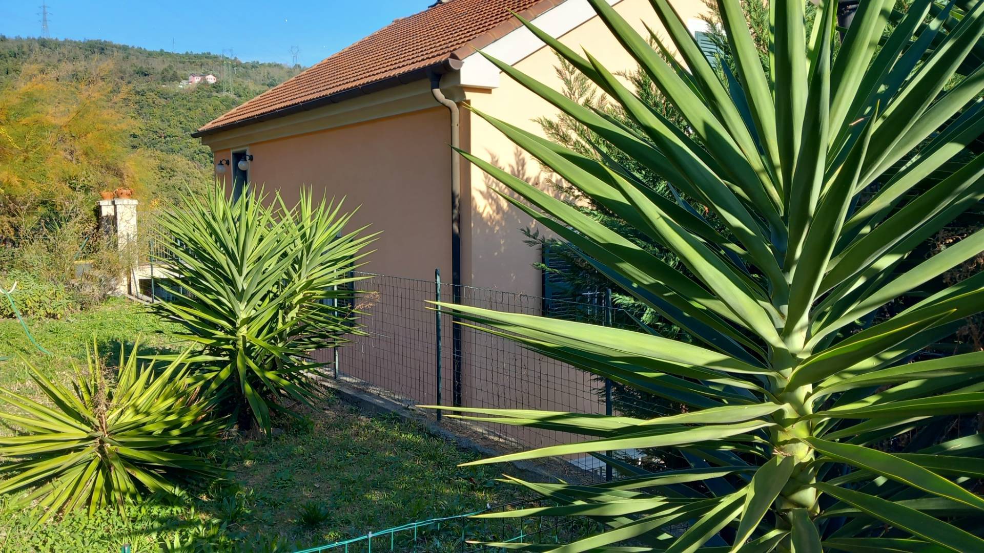 Appartamento in affitto a Savona, Oltreletimbro