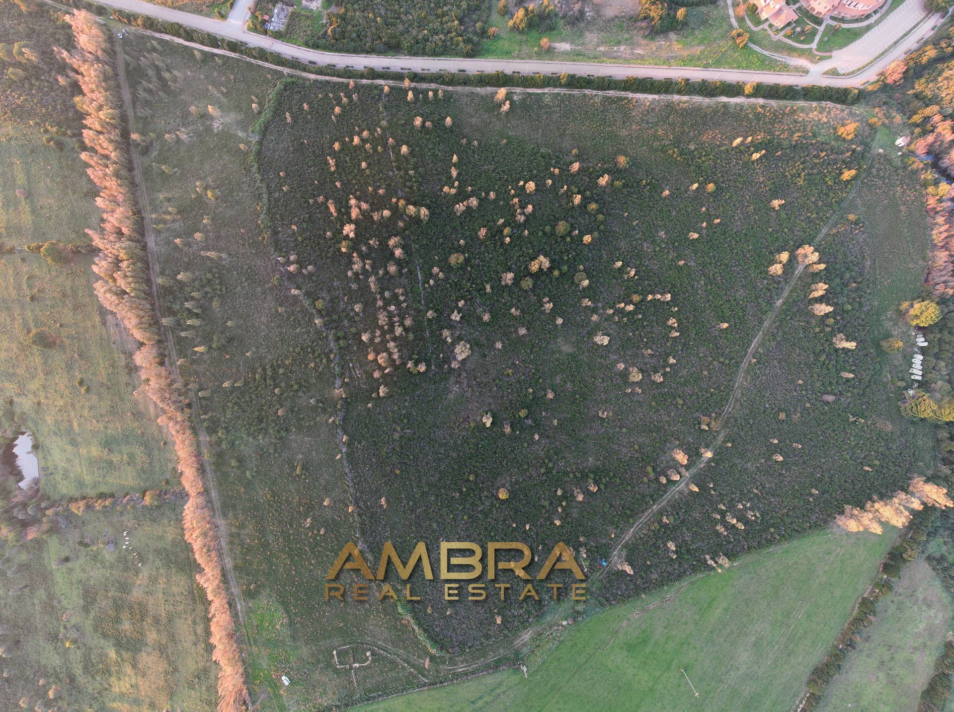 Terreno edificabile in vendita a Aglientu