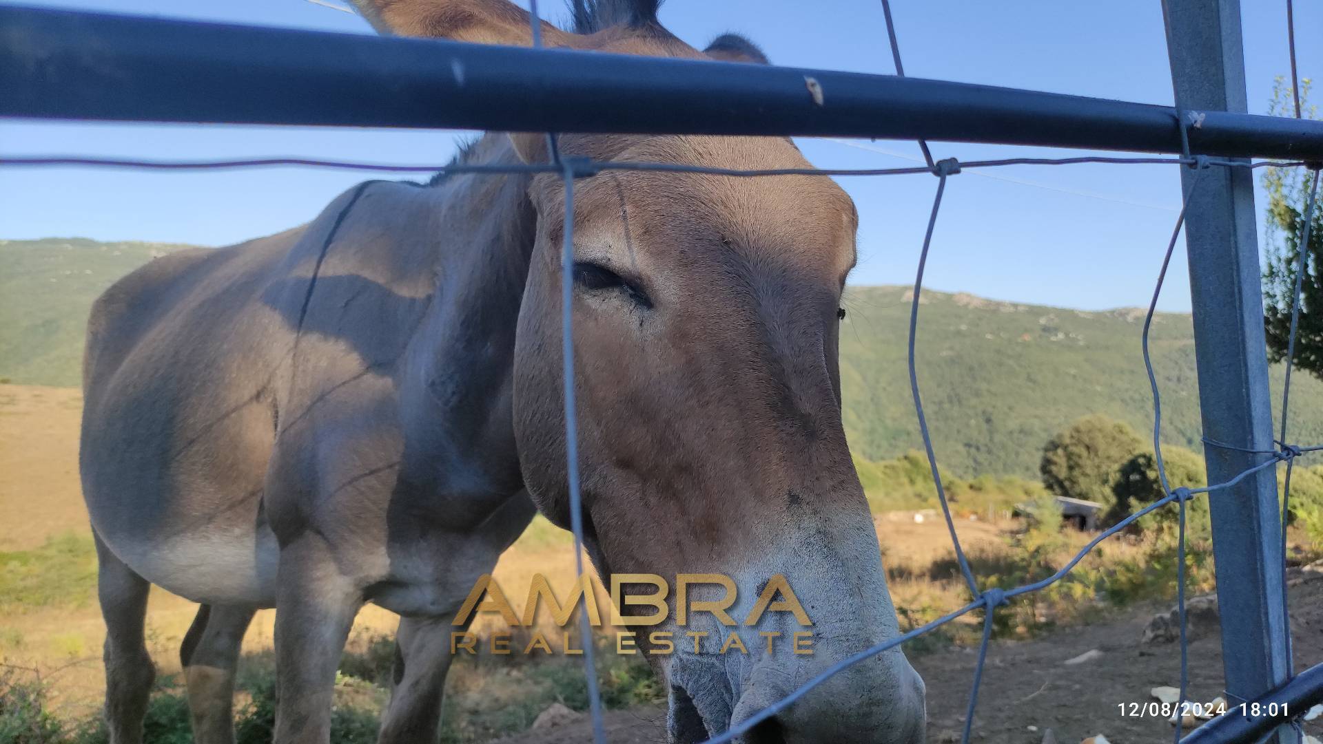 Rustico in vendita a Oschiri