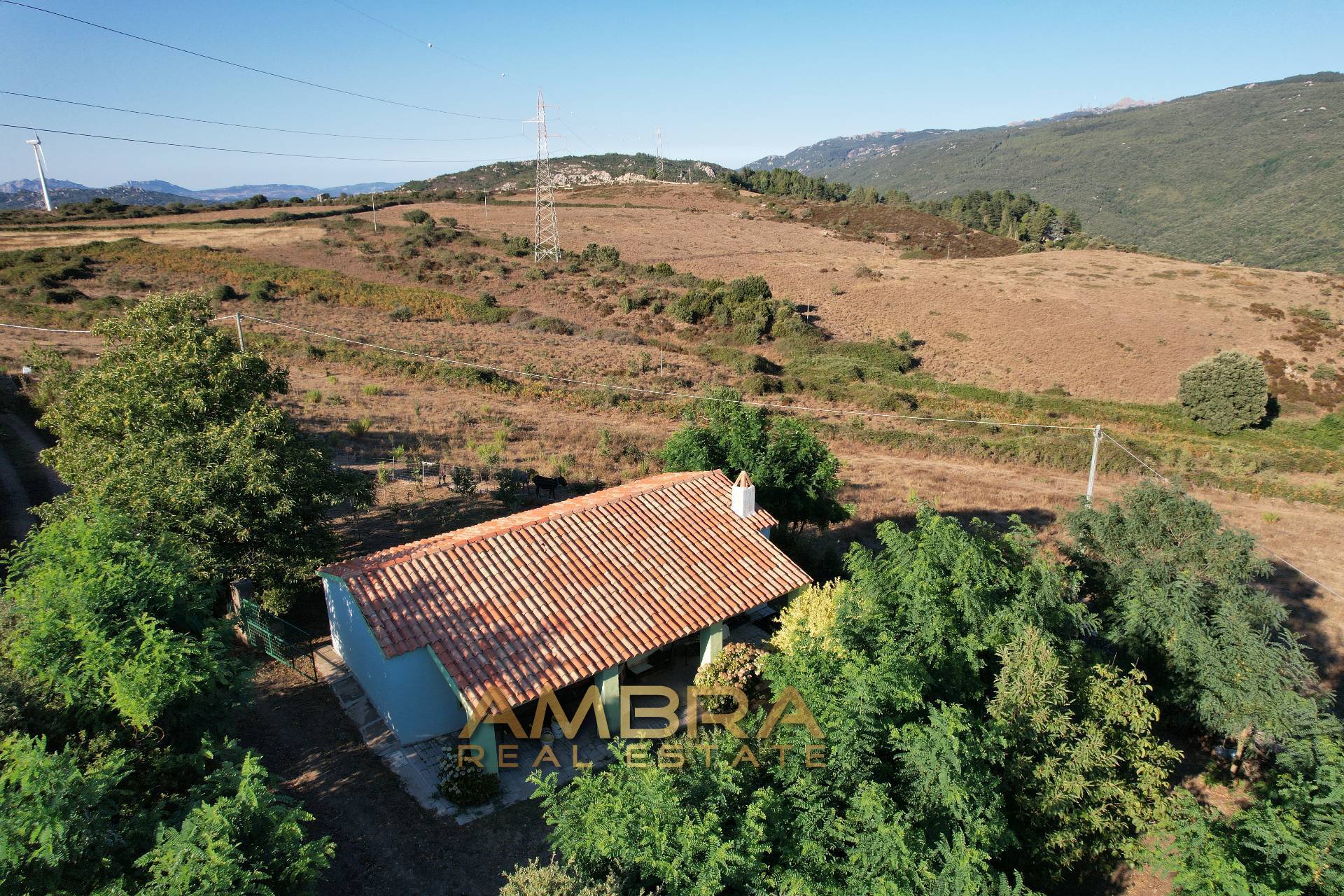 Rustico in vendita a Oschiri