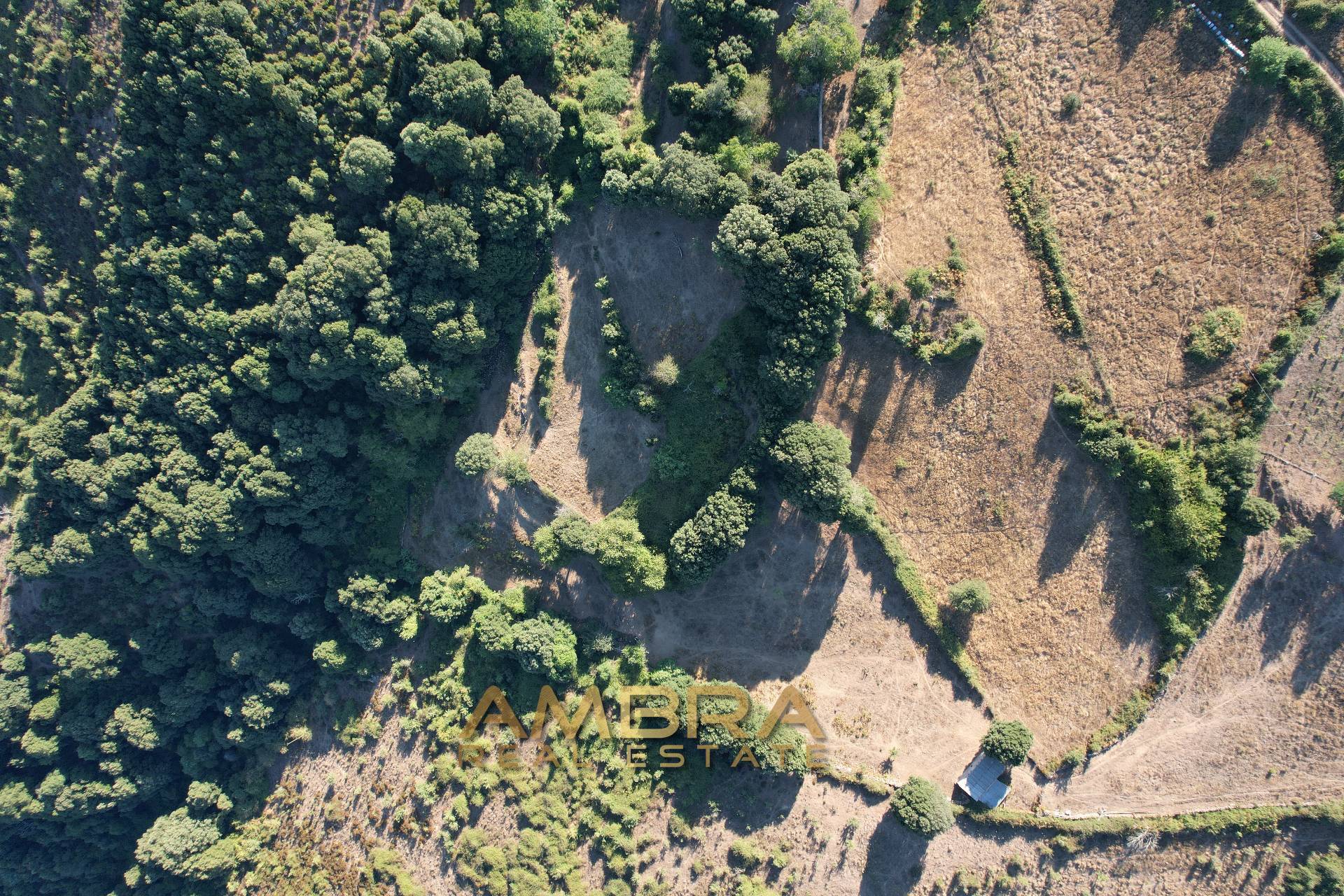 Rustico in vendita a Oschiri