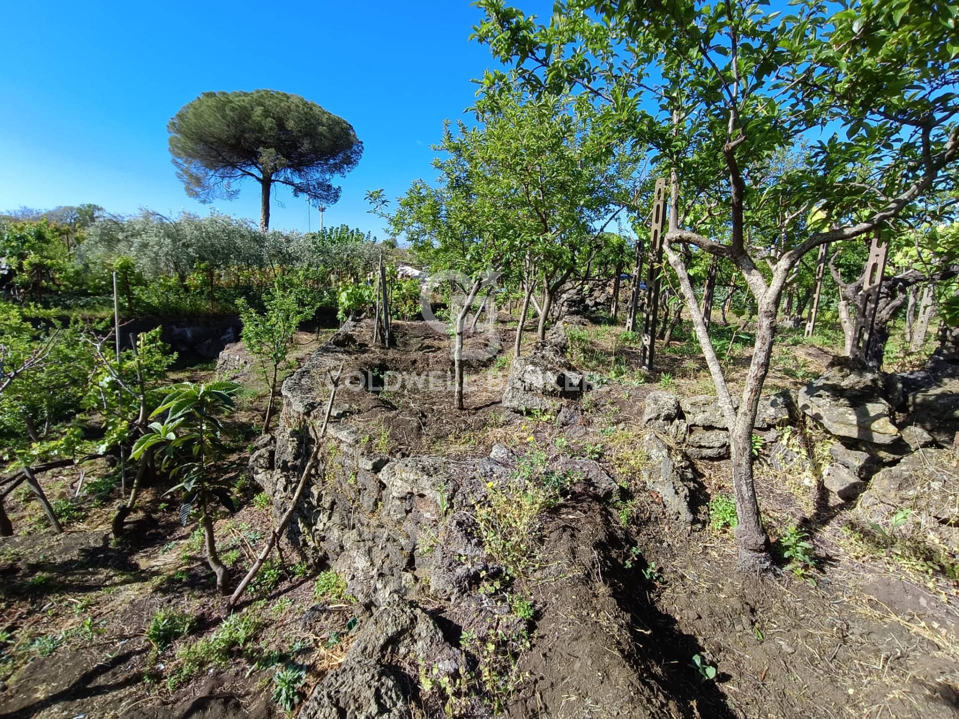 Terreno in vendita a Acireale