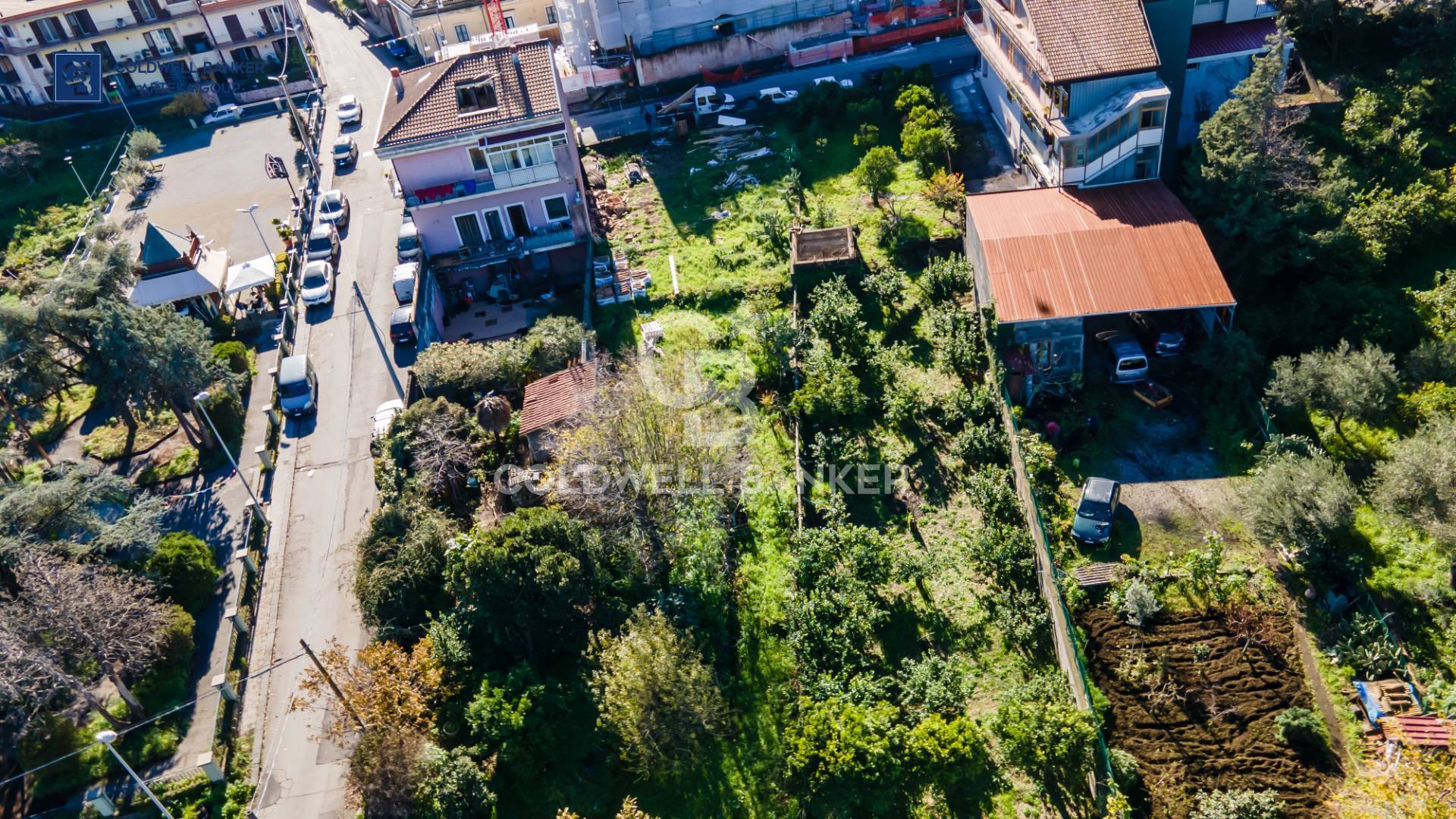 immagine annuncio 3 di 7