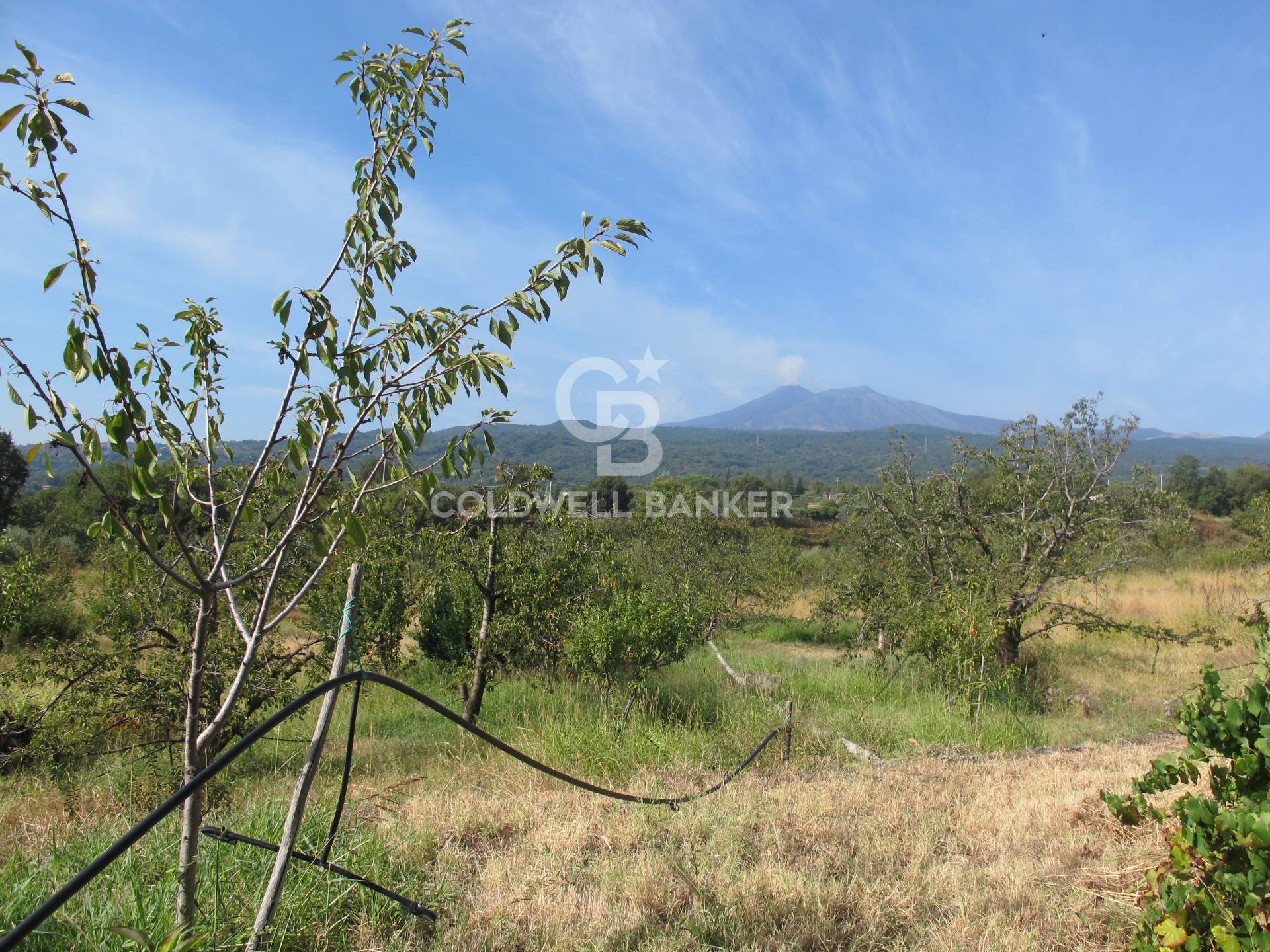 Terreno in vendita a Piedimonte Etneo