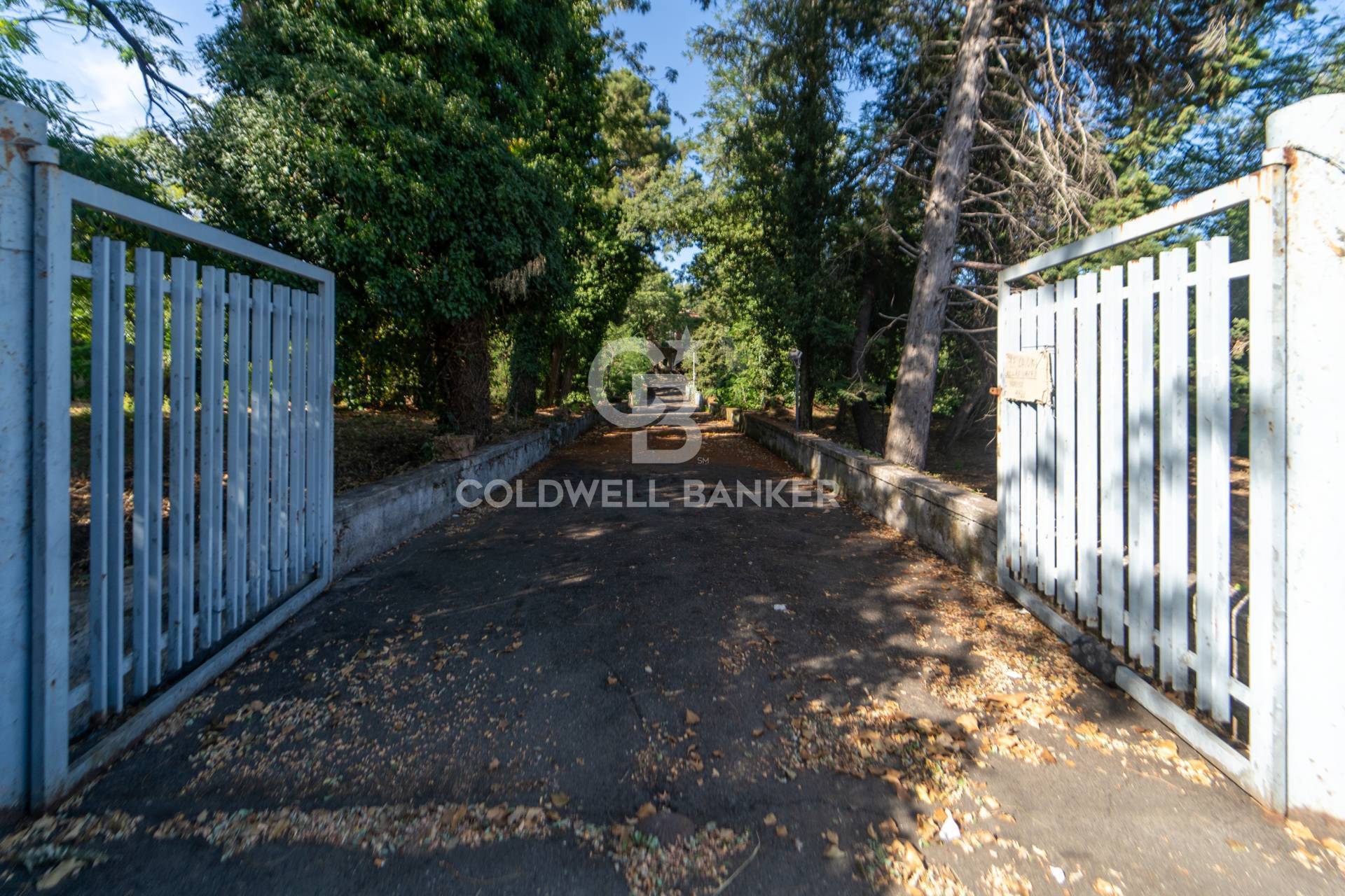 Casa indipendente in vendita a Zafferana Etnea