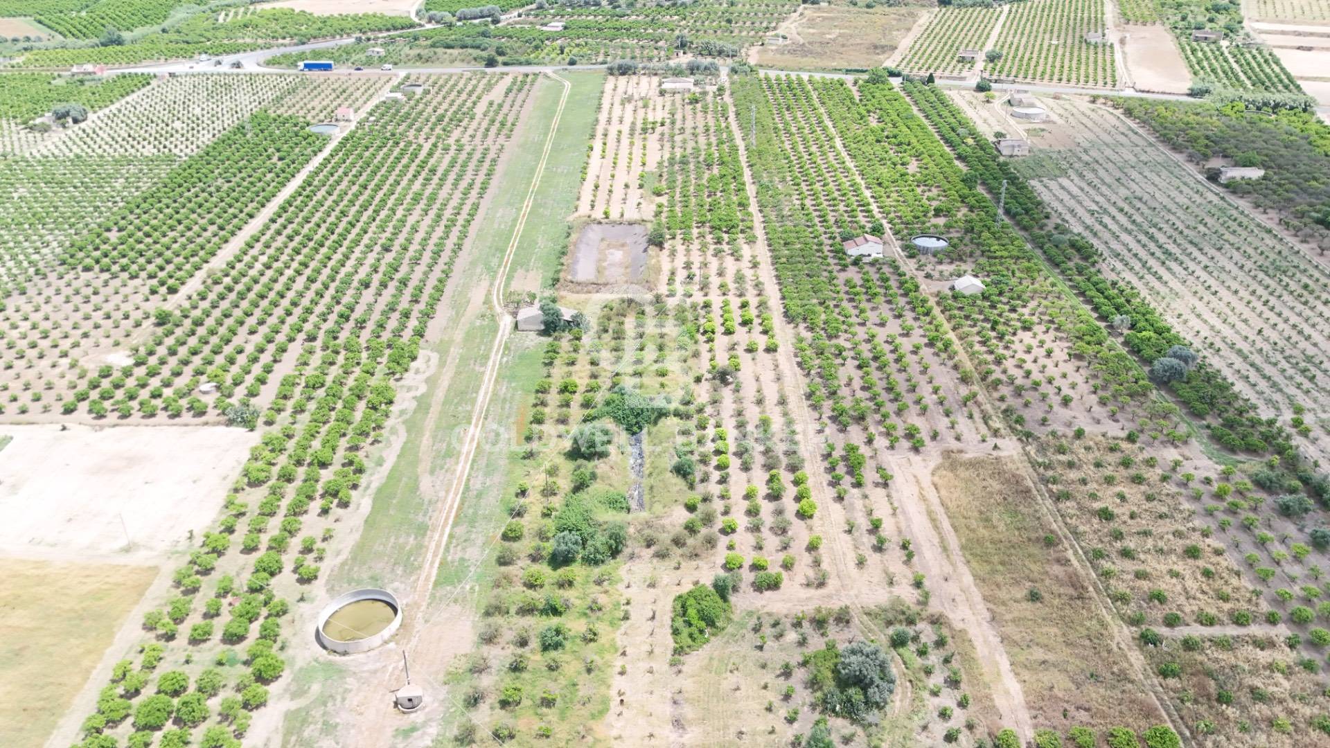 Terreno agricolo in vendita a Mineo