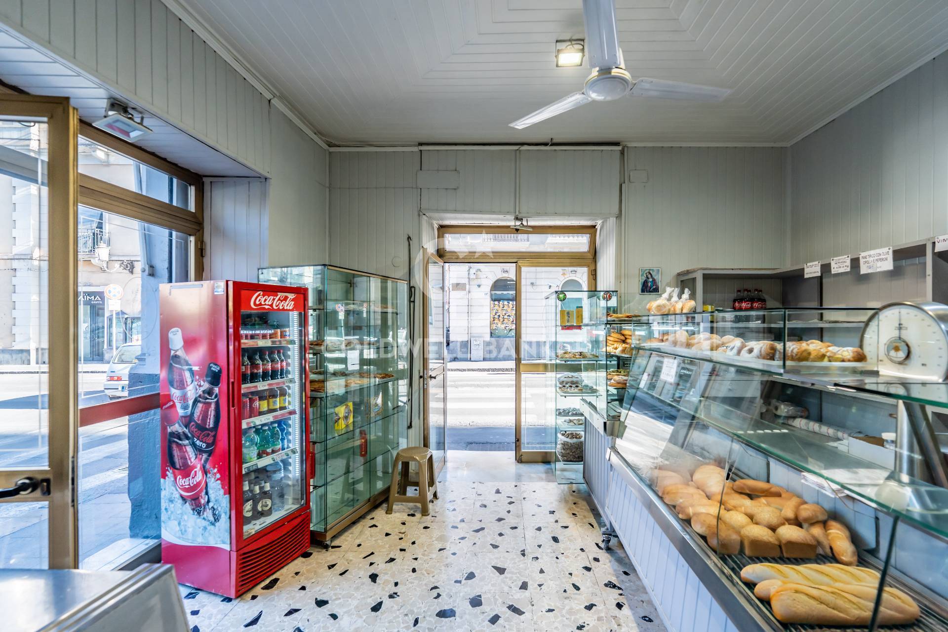 Attivit commerciale in vendita a Catania