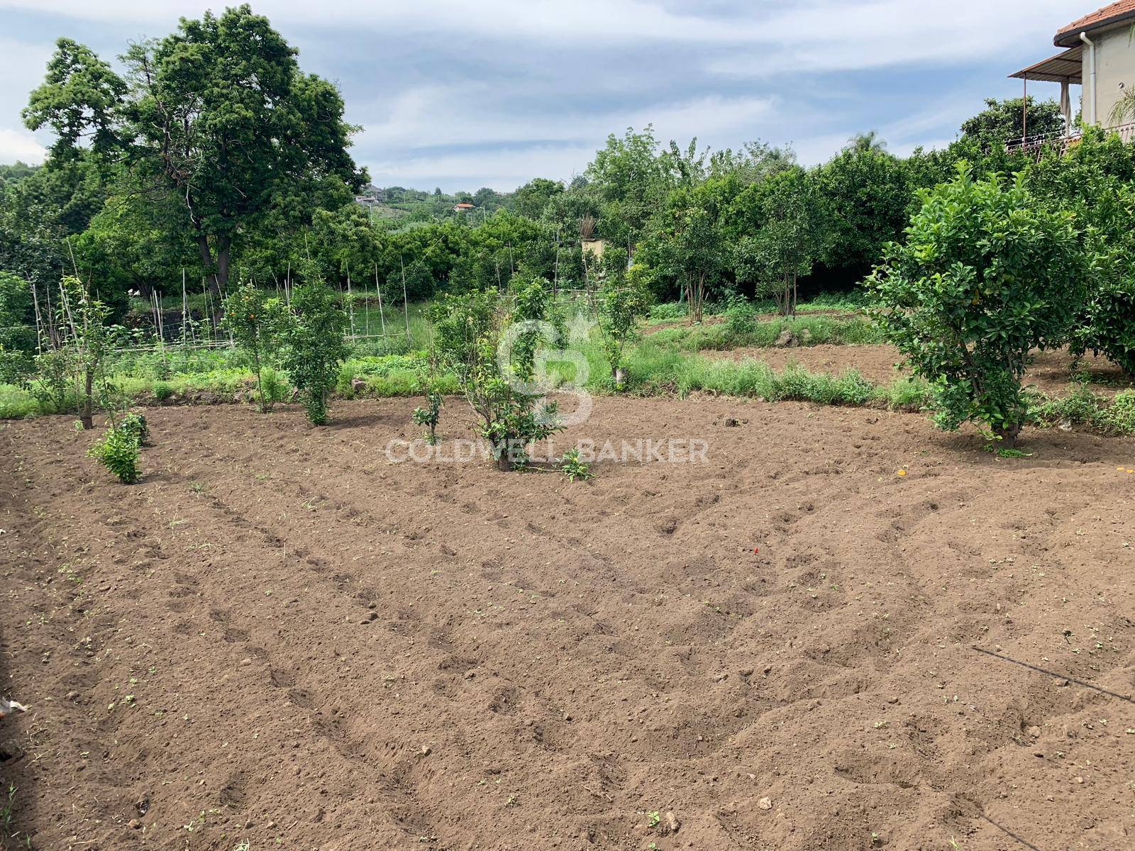 Terreno residenziale in vendita a Giarre