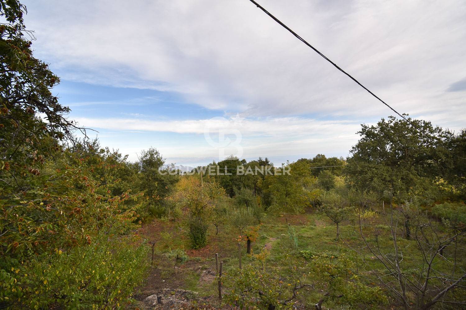 Terreno agricolo in vendita a Piedimonte Etneo