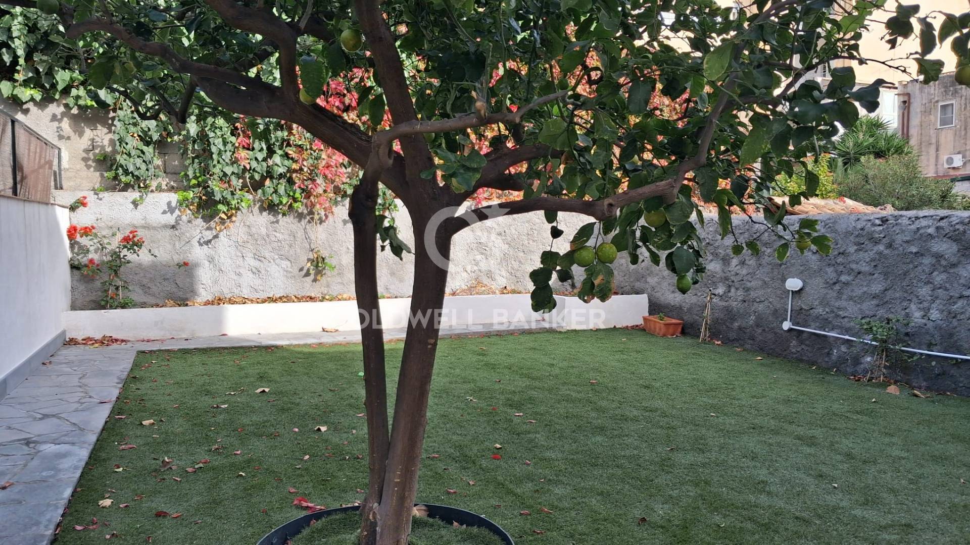 Appartamento indipendente in affitto a Catania, Ognina,Picanello,Ulisse