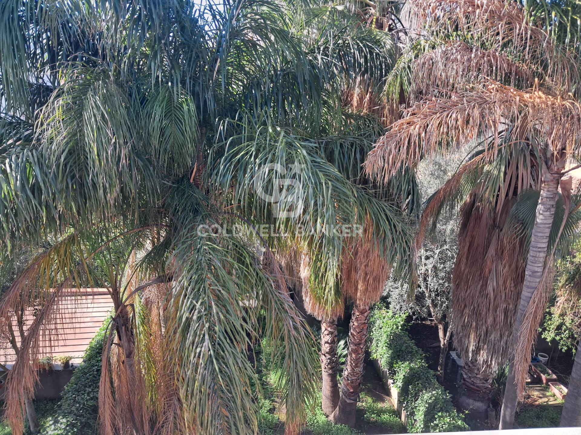 Villa a schiera in vendita a Acireale