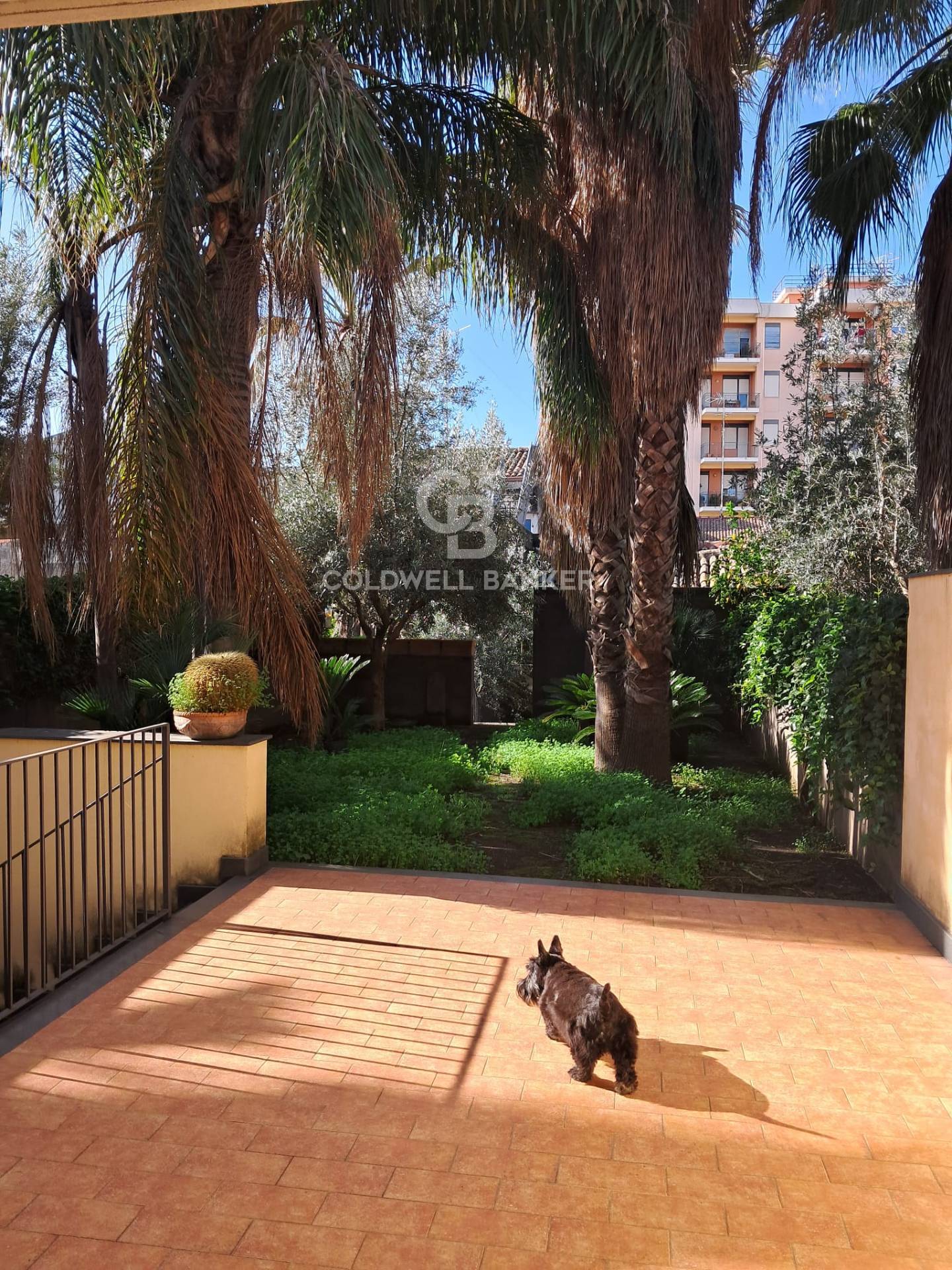 Villa a schiera in vendita a Acireale