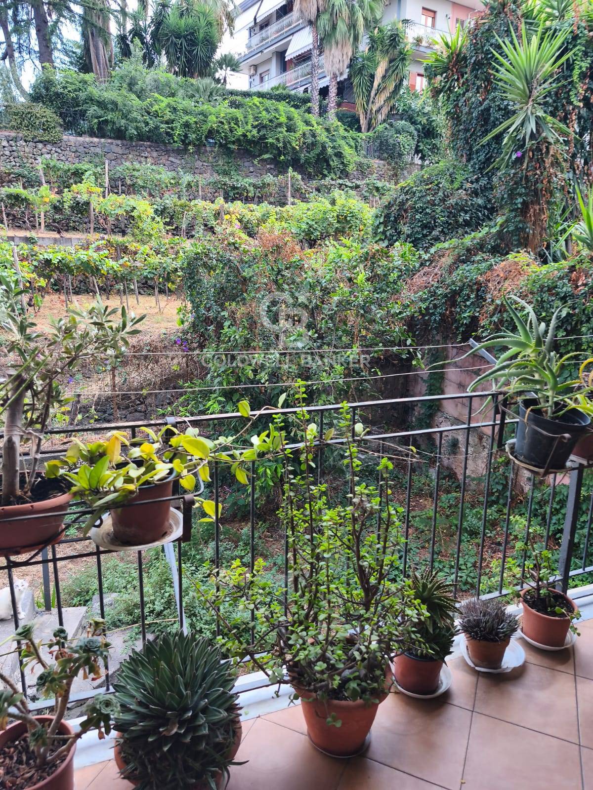 Casa semi indipendente in vendita a Santa Venerina