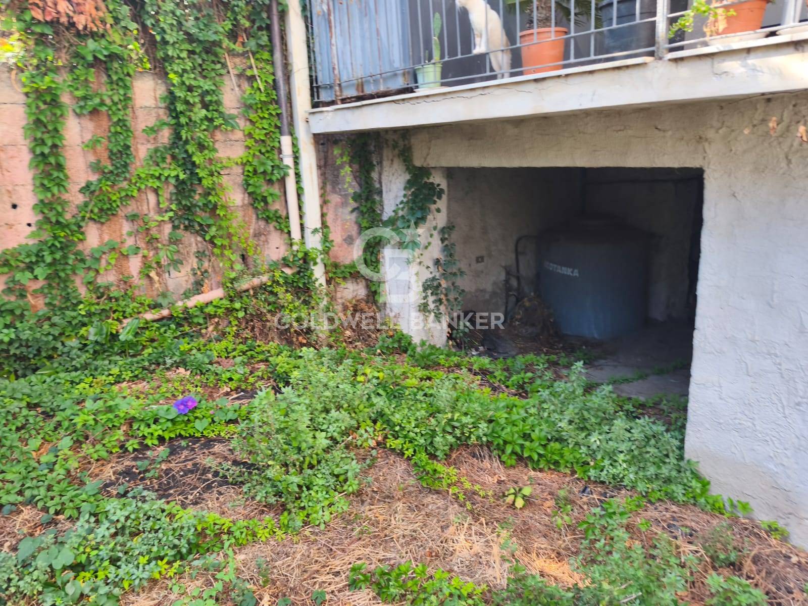 Casa semi indipendente in vendita a Santa Venerina