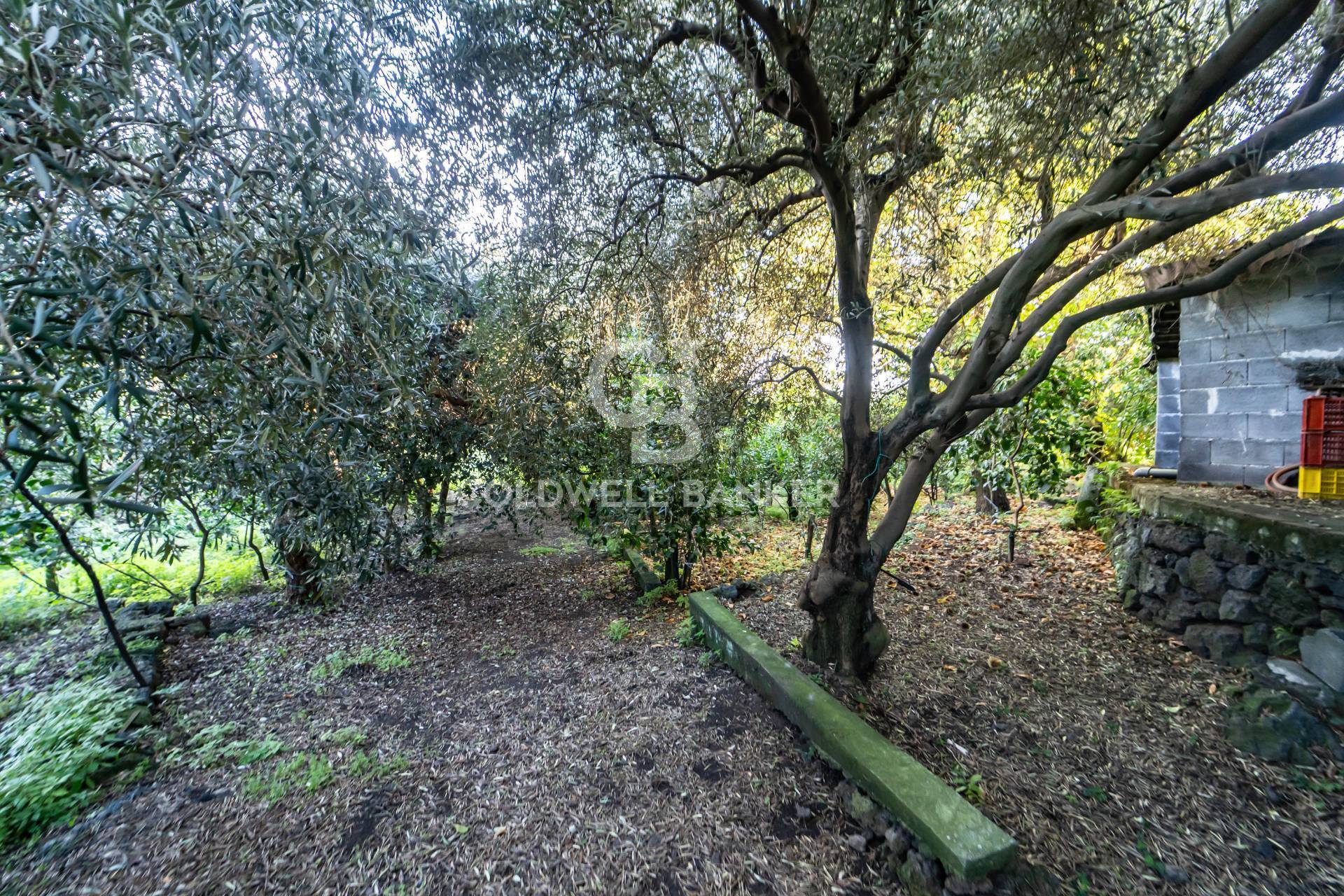 Terreno agricolo in vendita a Santa Venerina, Linera