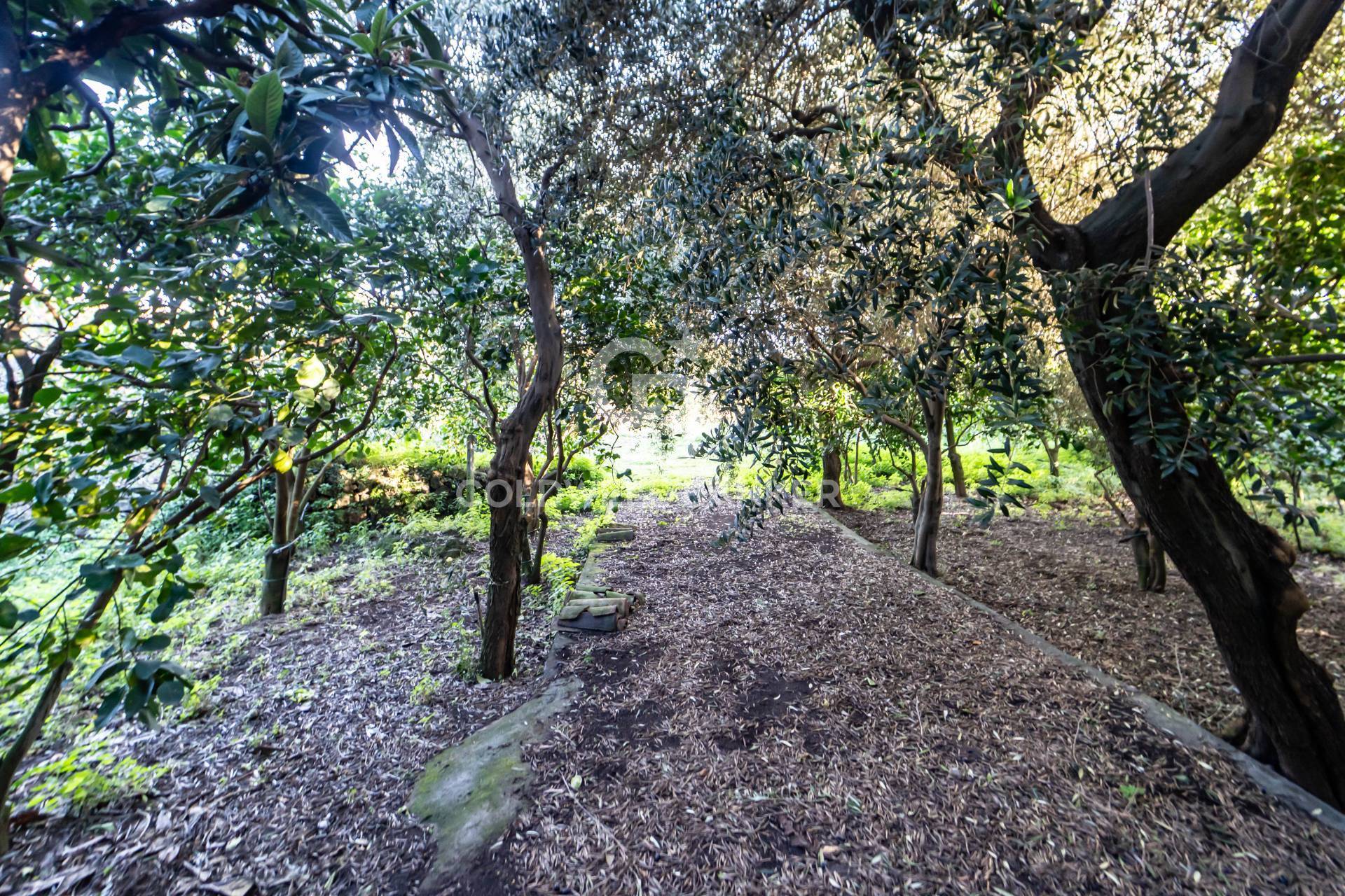 Terreno agricolo in vendita a Santa Venerina, Linera