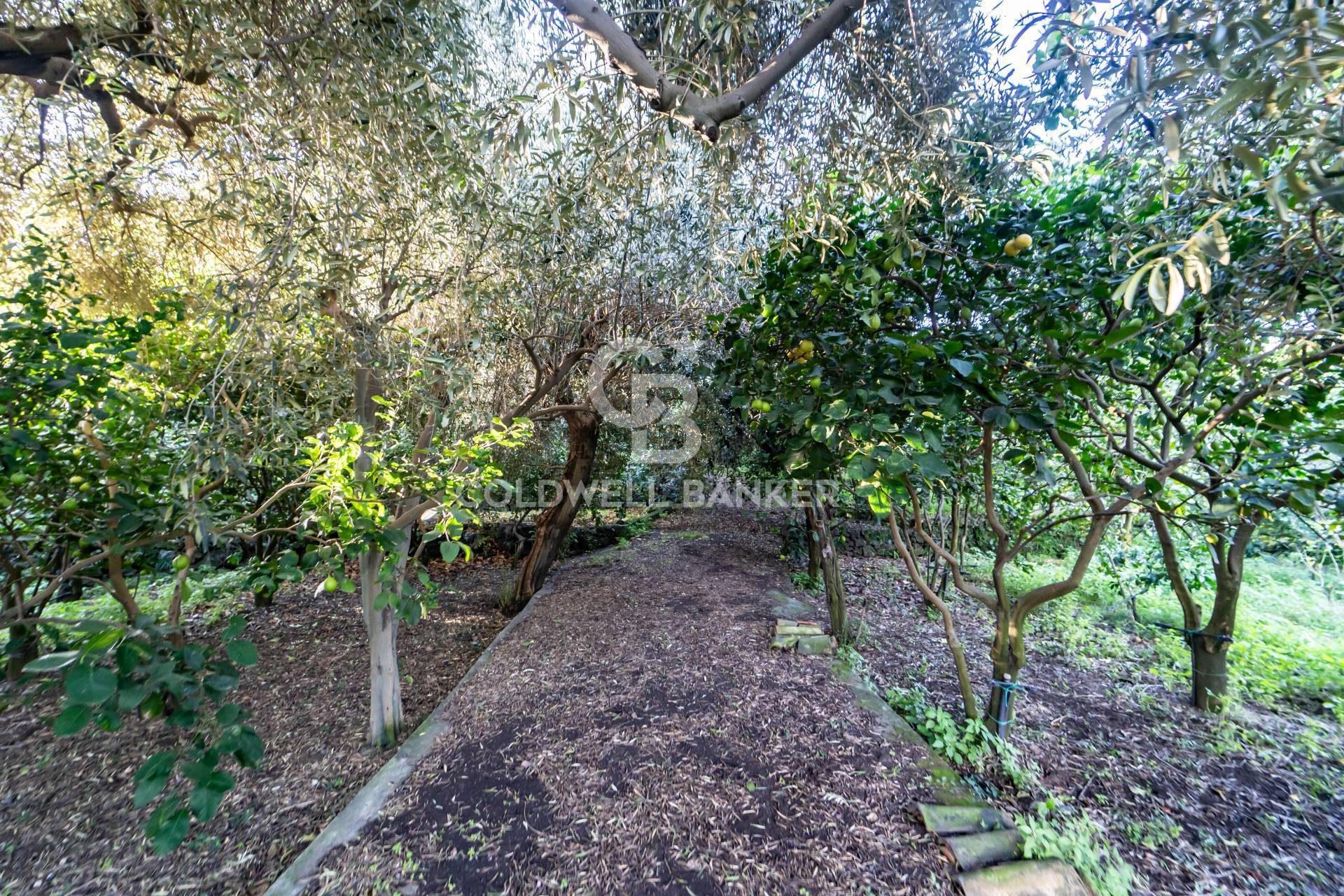 Terreno agricolo in vendita a Santa Venerina, Linera