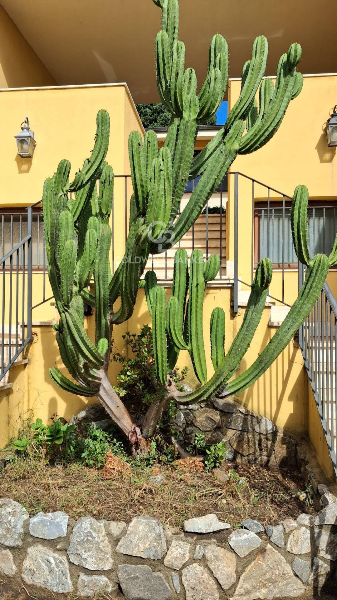 Appartamento in affitto a Messina, Ganzirri
