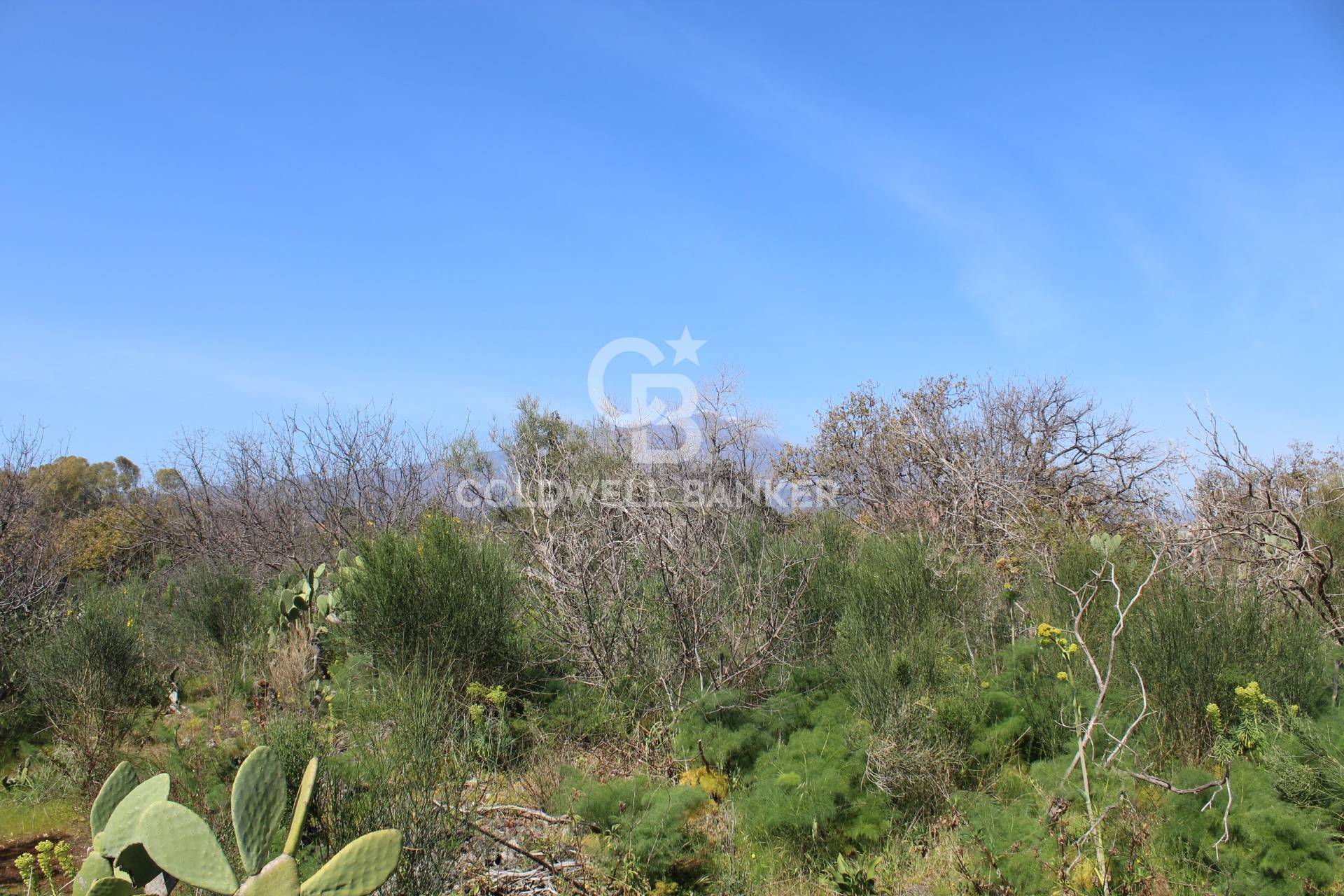 Rustico/Casale/Corte in vendita a Aci Sant'Antonio