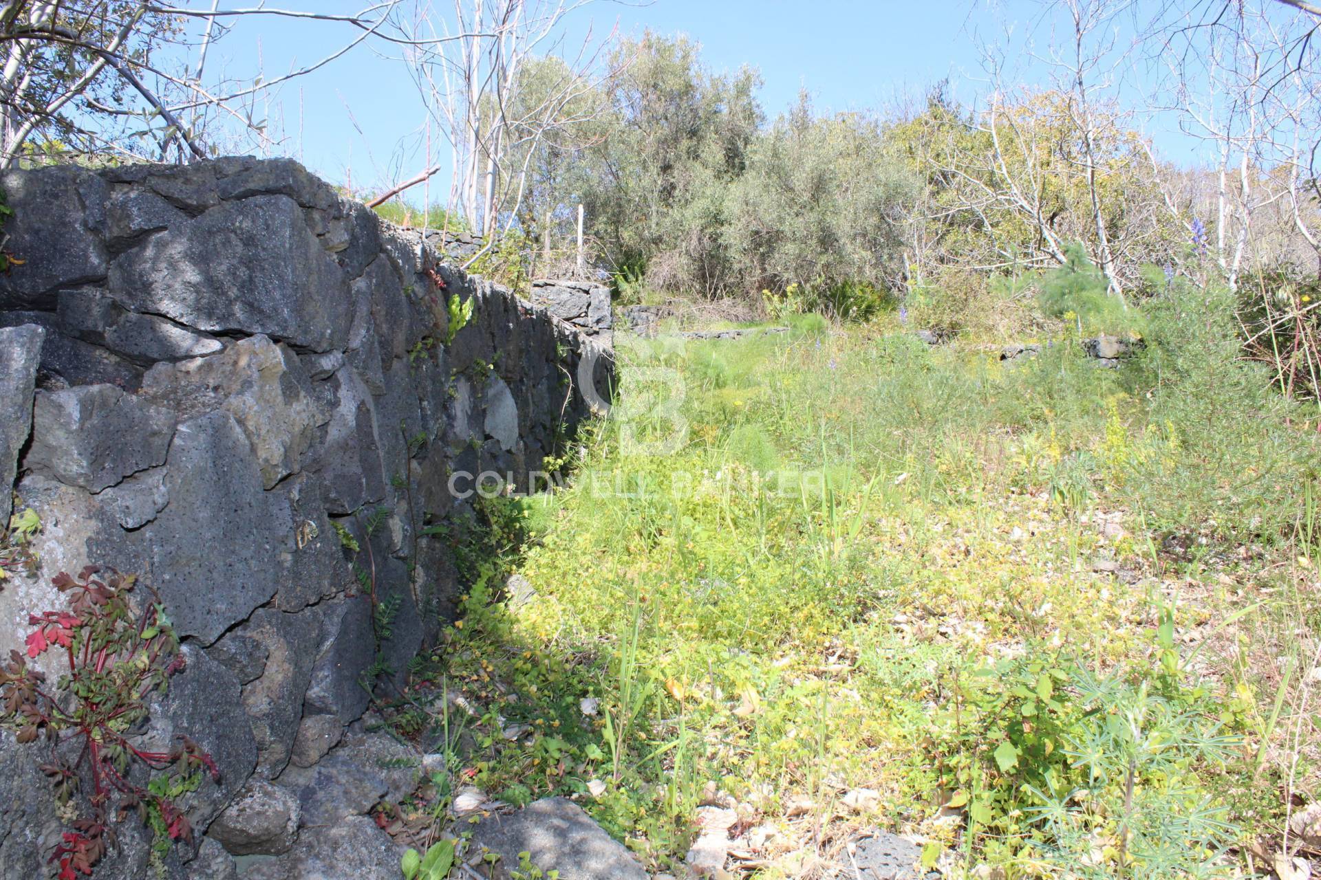 Rustico/Casale/Corte in vendita a Aci Sant'Antonio