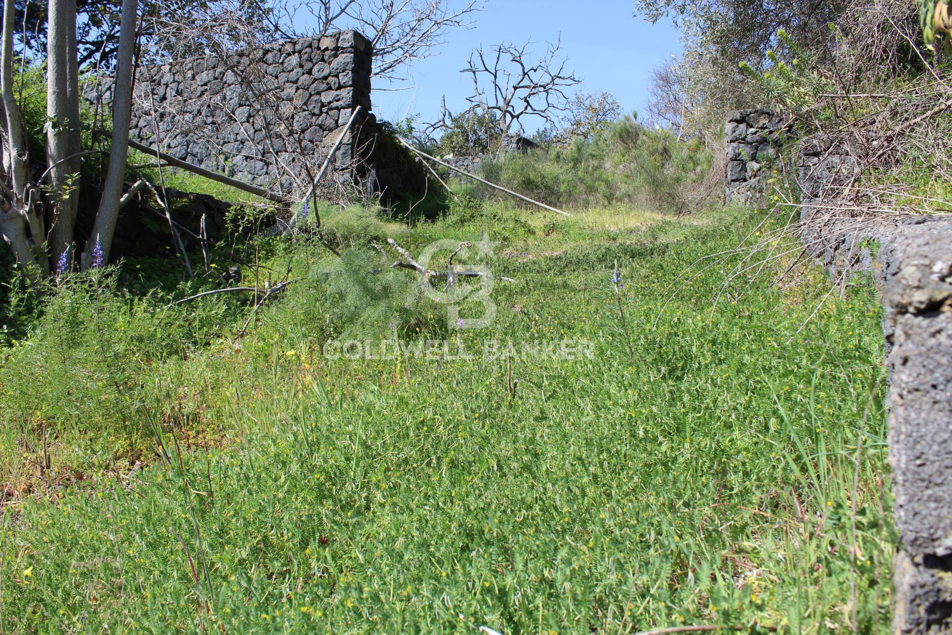 Rustico/Casale/Corte in vendita a Aci Sant'Antonio