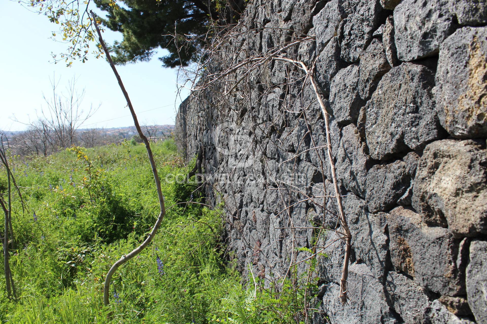 Rustico/Casale/Corte in vendita a Aci Sant'Antonio