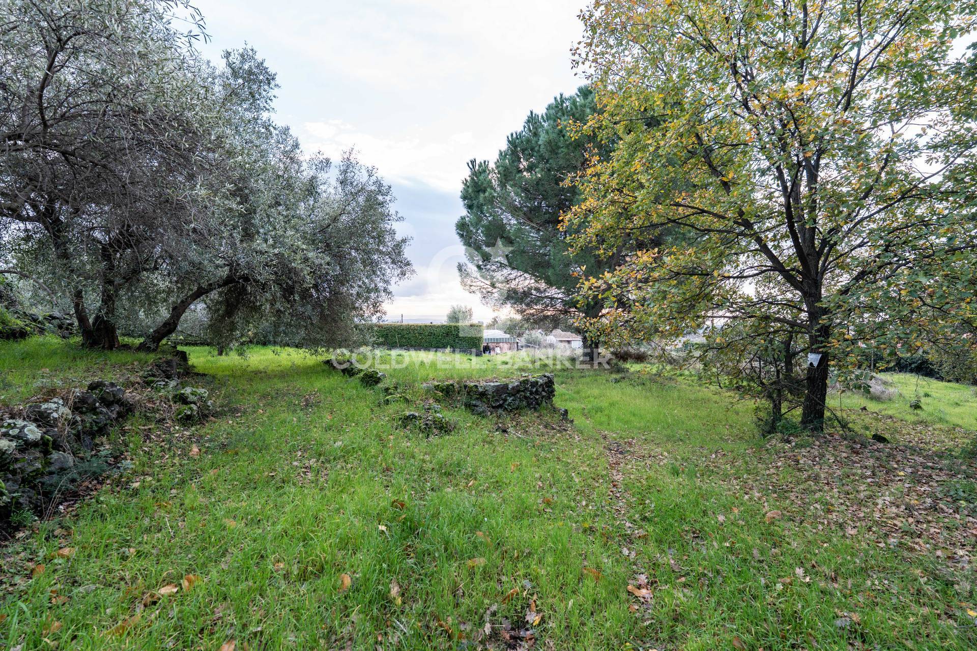 Terreno in vendita a Zafferana Etnea