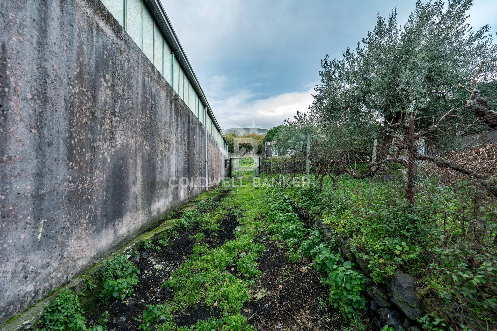 Terreno in vendita a Zafferana Etnea