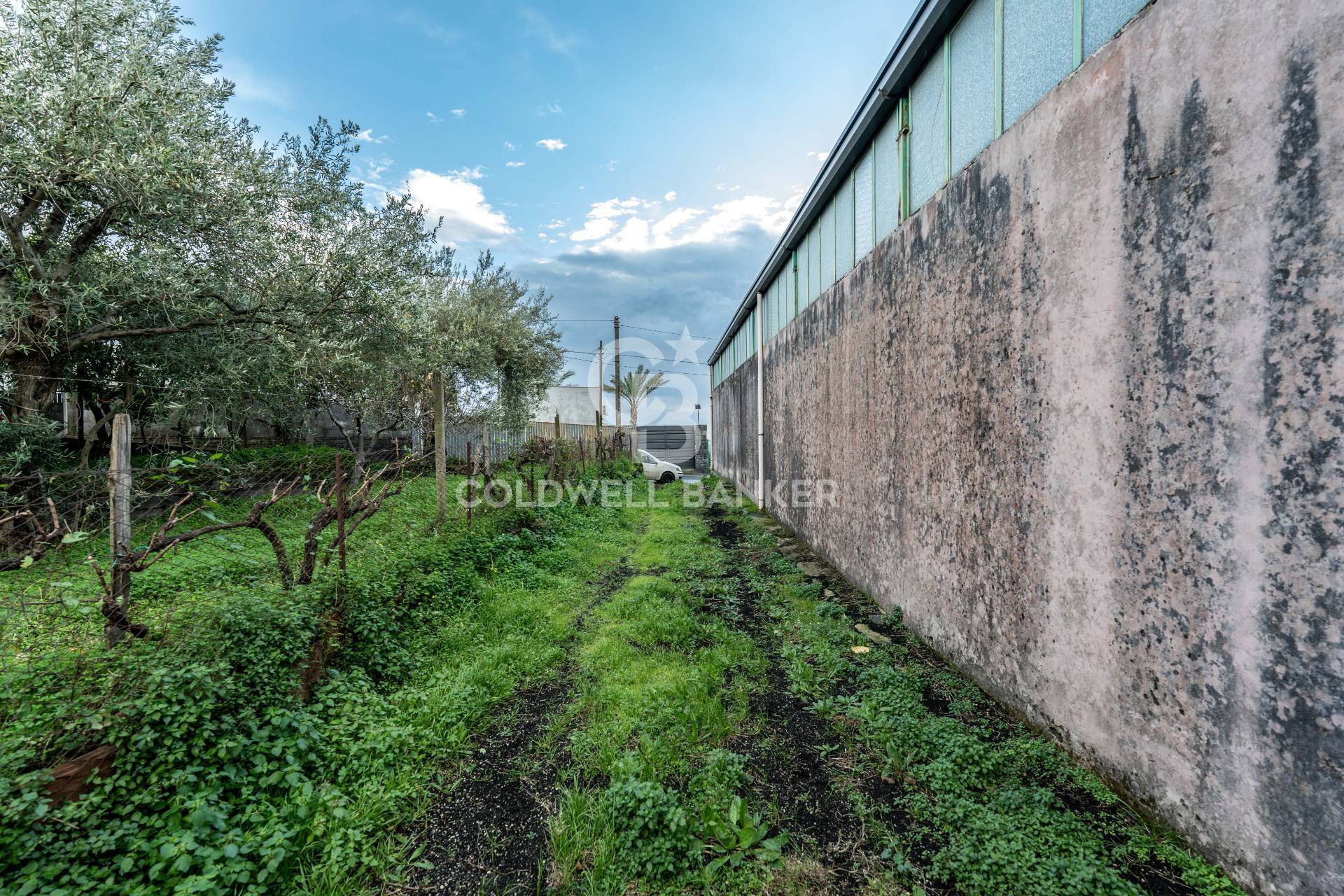 Terreno in vendita a Zafferana Etnea