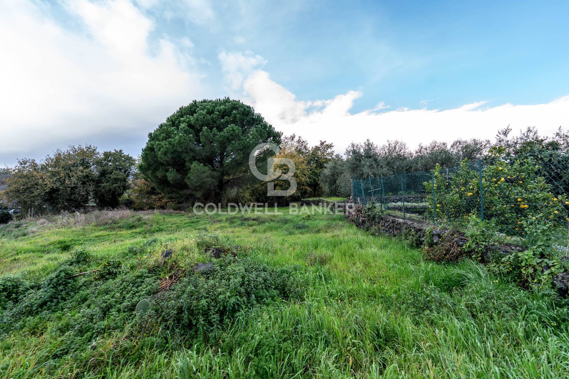 Terreno in vendita a Zafferana Etnea