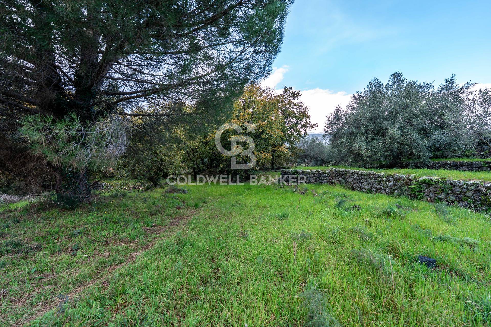 Terreno in vendita a Zafferana Etnea
