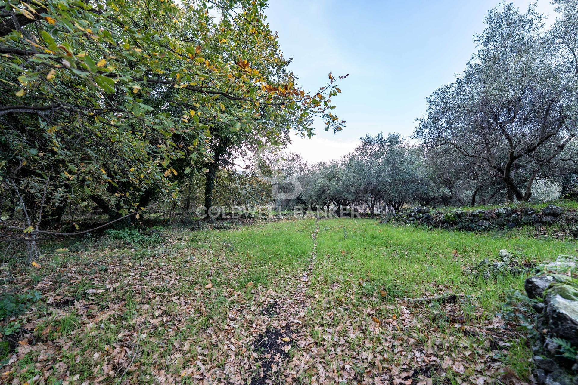 Terreno in vendita a Zafferana Etnea