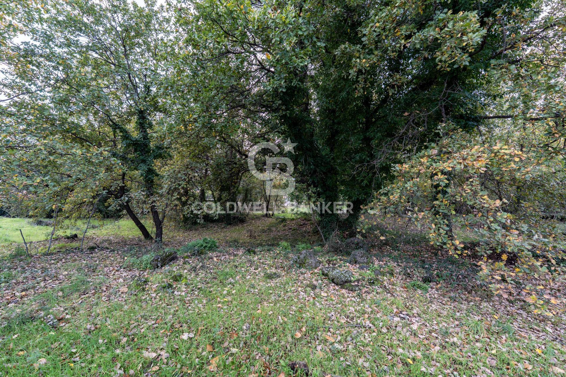 Terreno in vendita a Zafferana Etnea