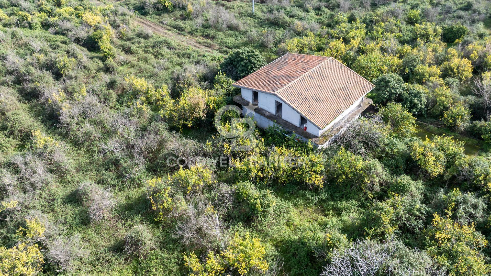 Terreno in vendita a Mascali