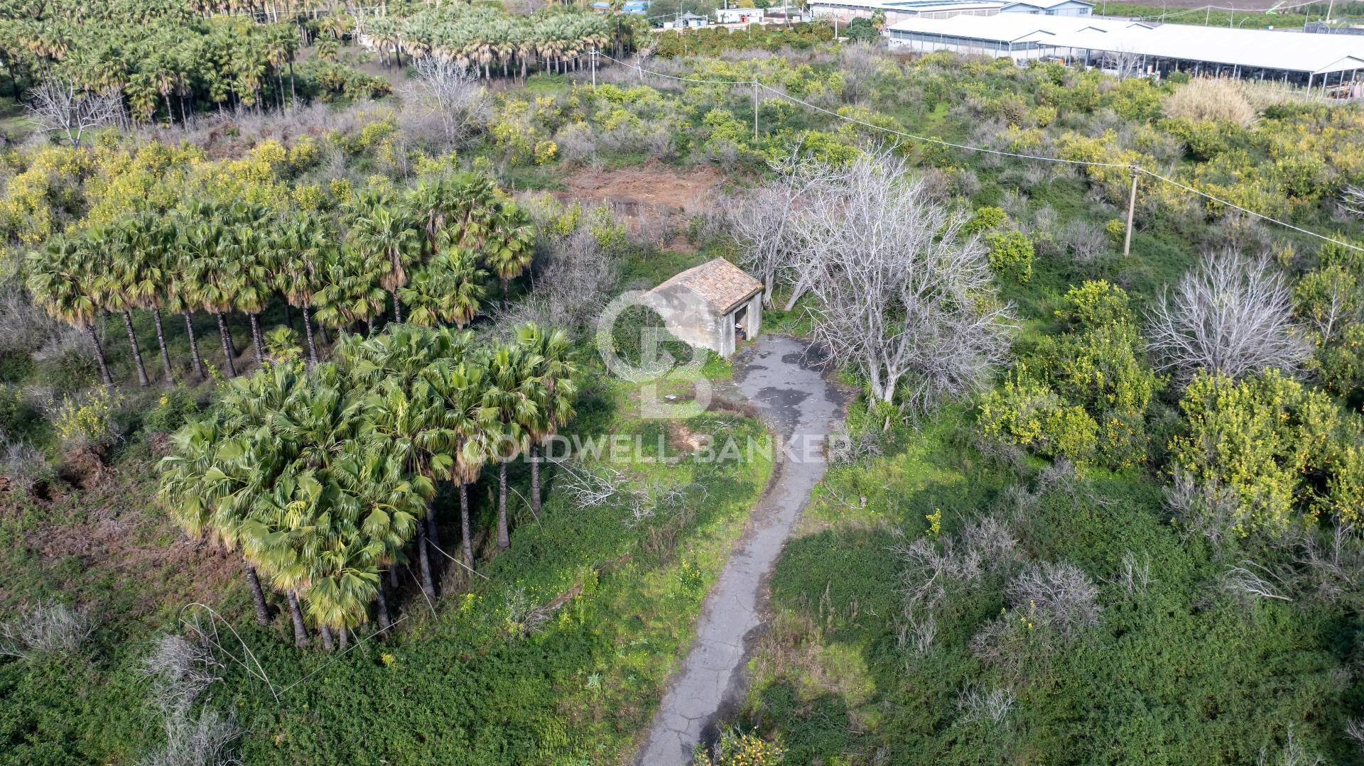 Terreno in vendita a Mascali