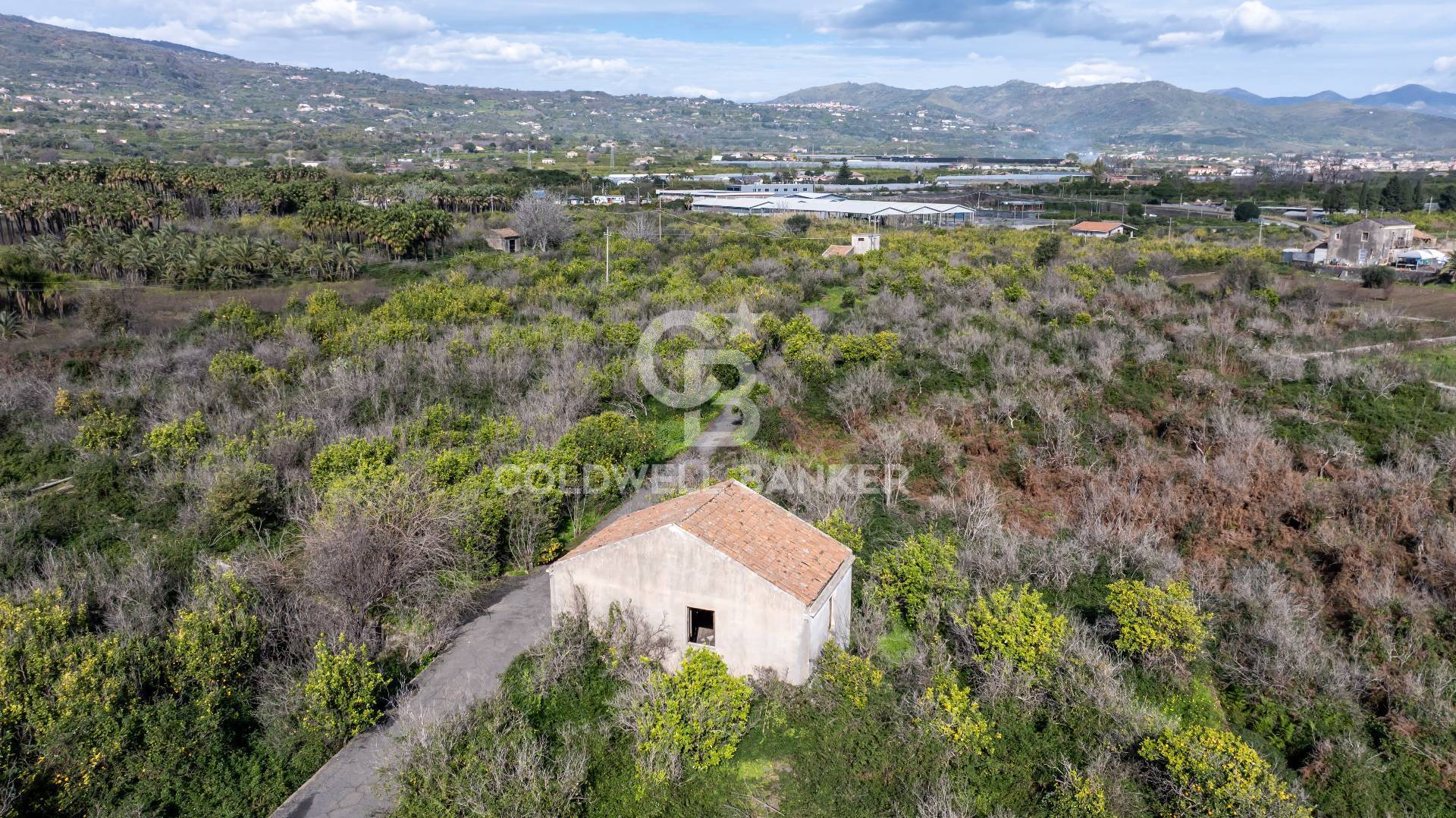 Terreno in vendita a Mascali