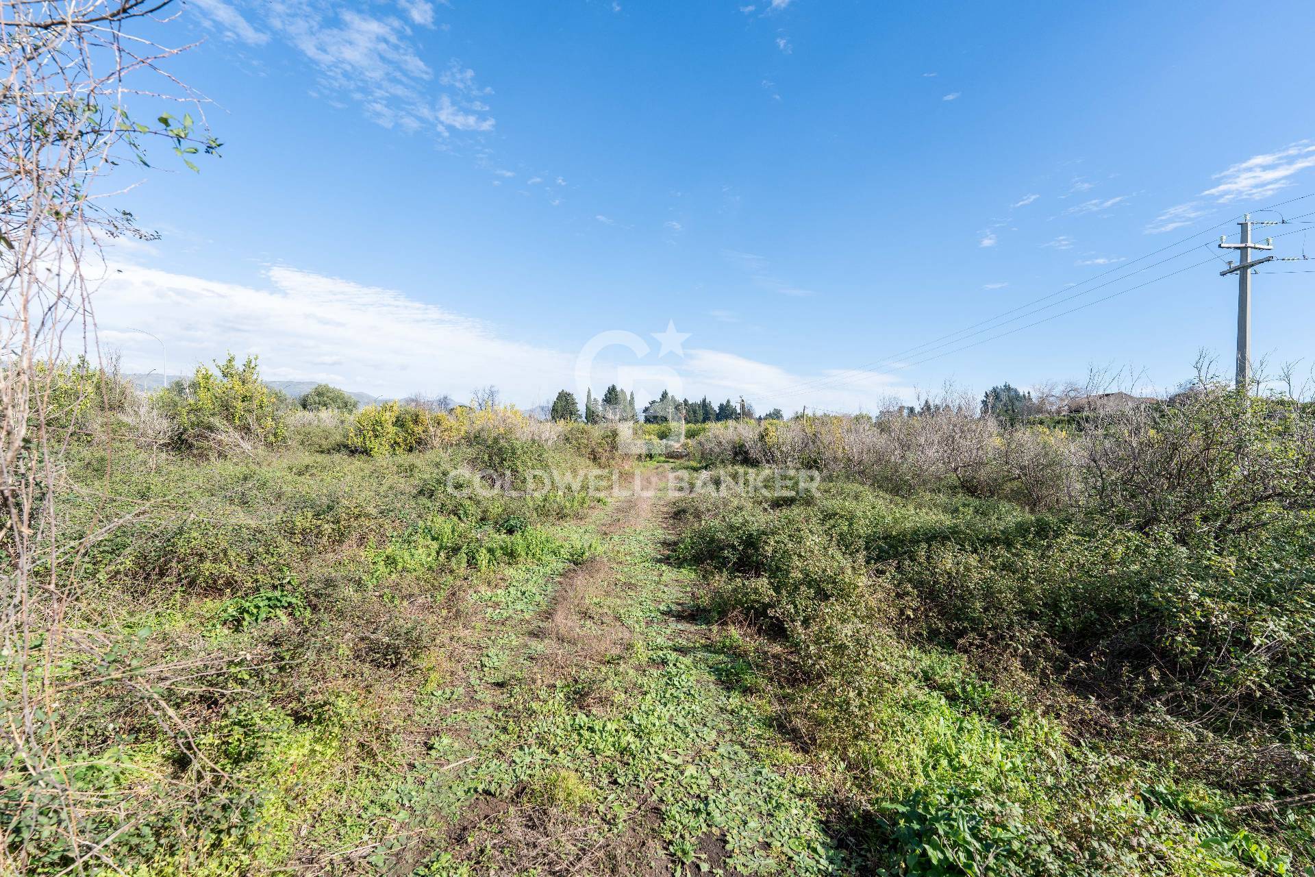 Terreno in vendita a Mascali