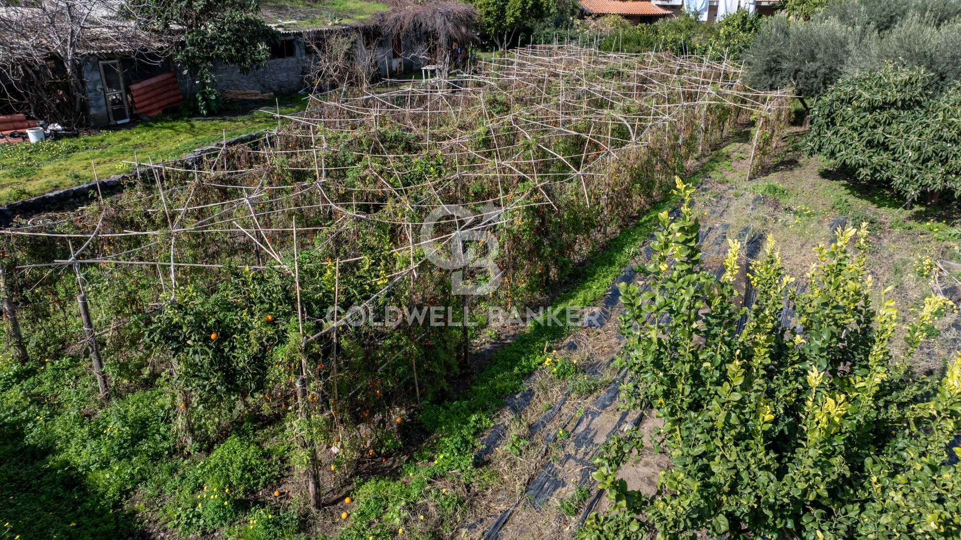Terreno Edificabile in vendita a Mascali, Nunziata