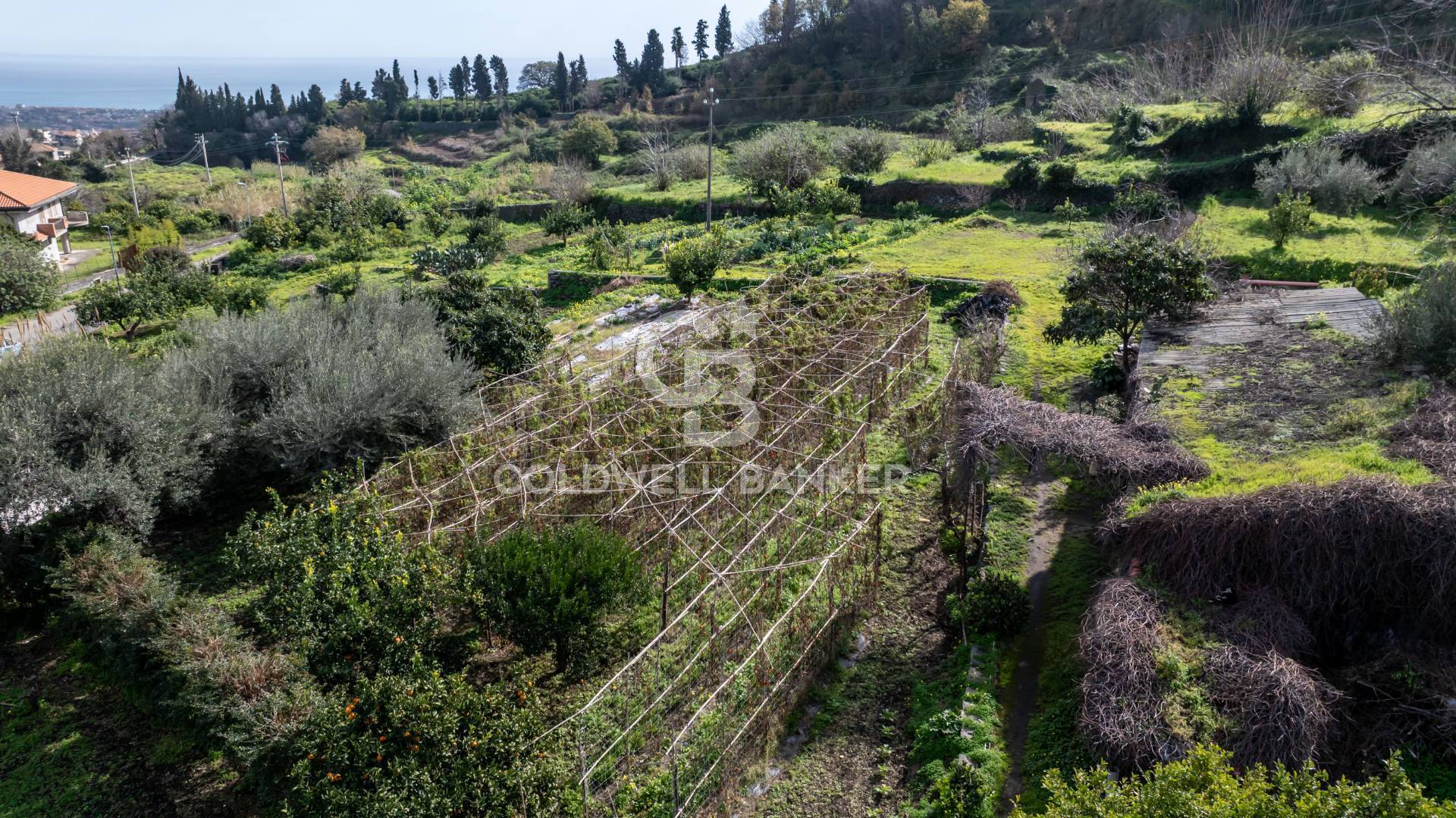 Terreno Edificabile in vendita a Mascali, Nunziata