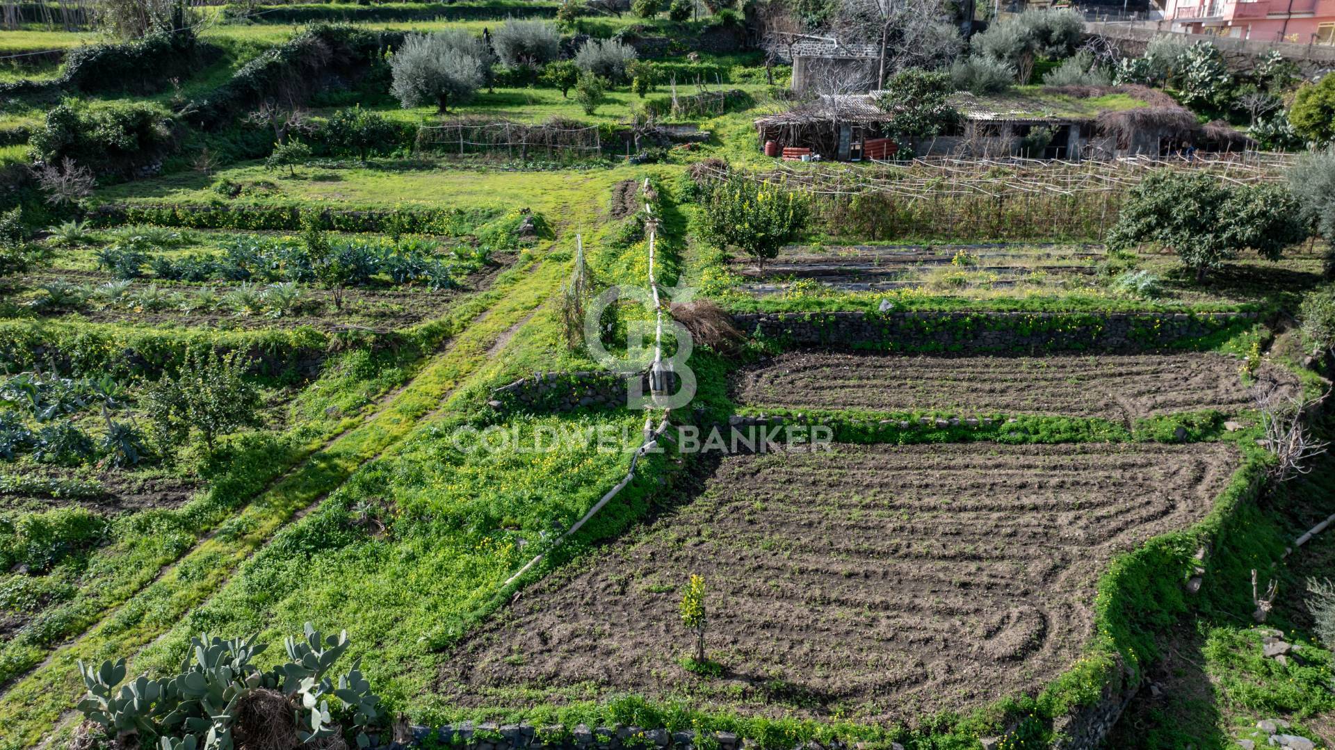 Terreno Edificabile in vendita a Mascali, Nunziata