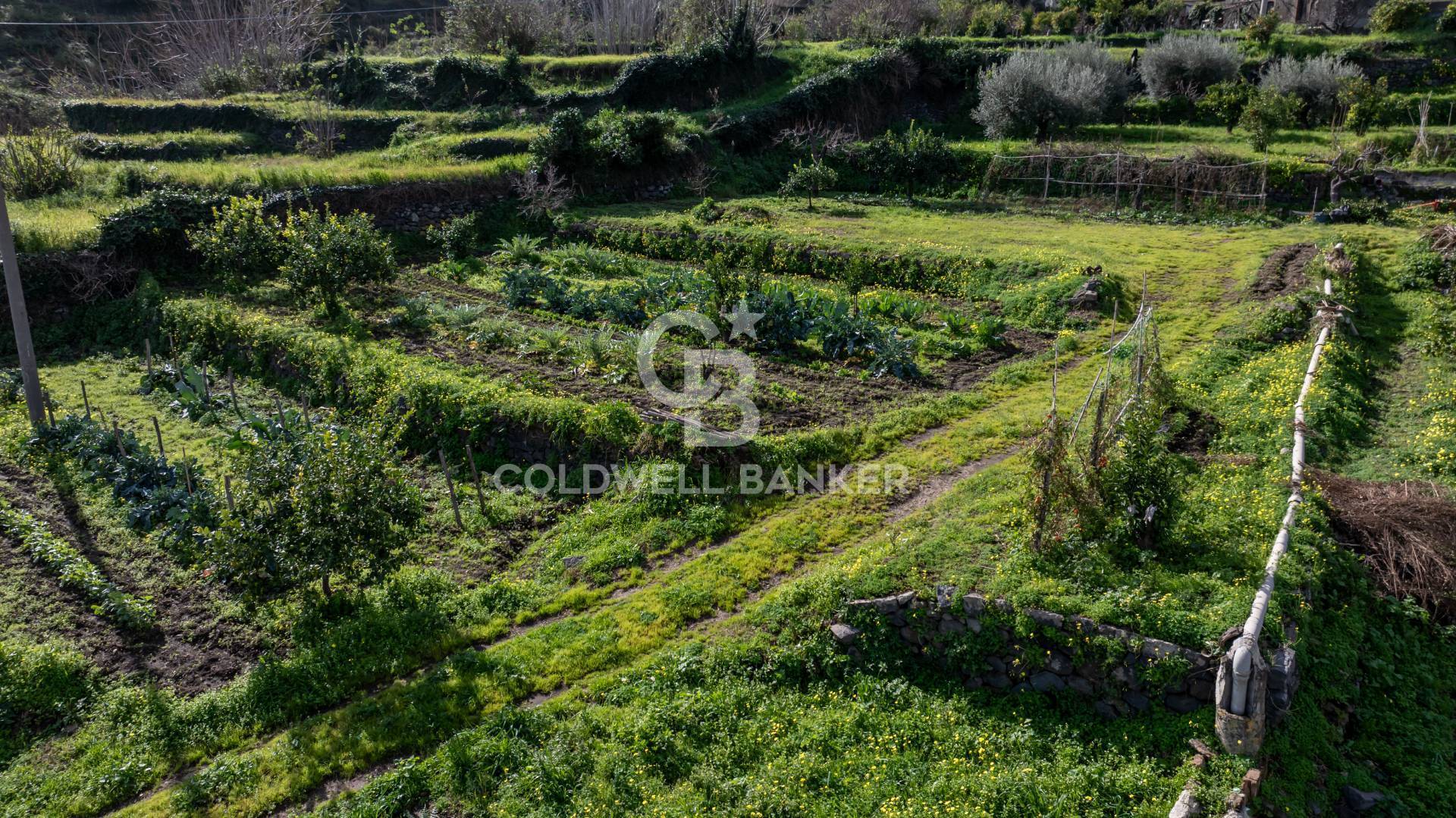 Terreno Edificabile in vendita a Mascali, Nunziata