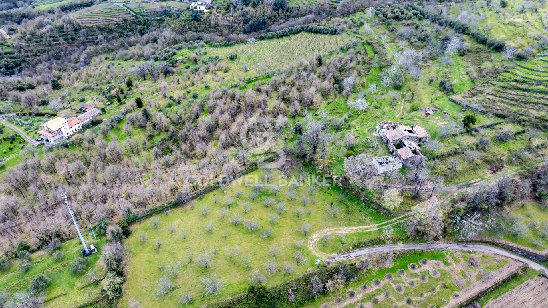 Terreno agricolo in vendita a Giarre