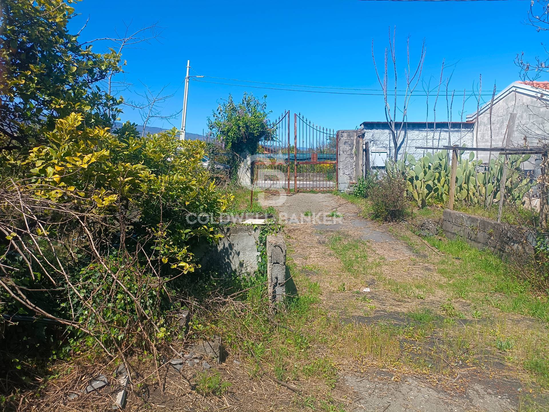 Casa indipendente in vendita a Santa Venerina