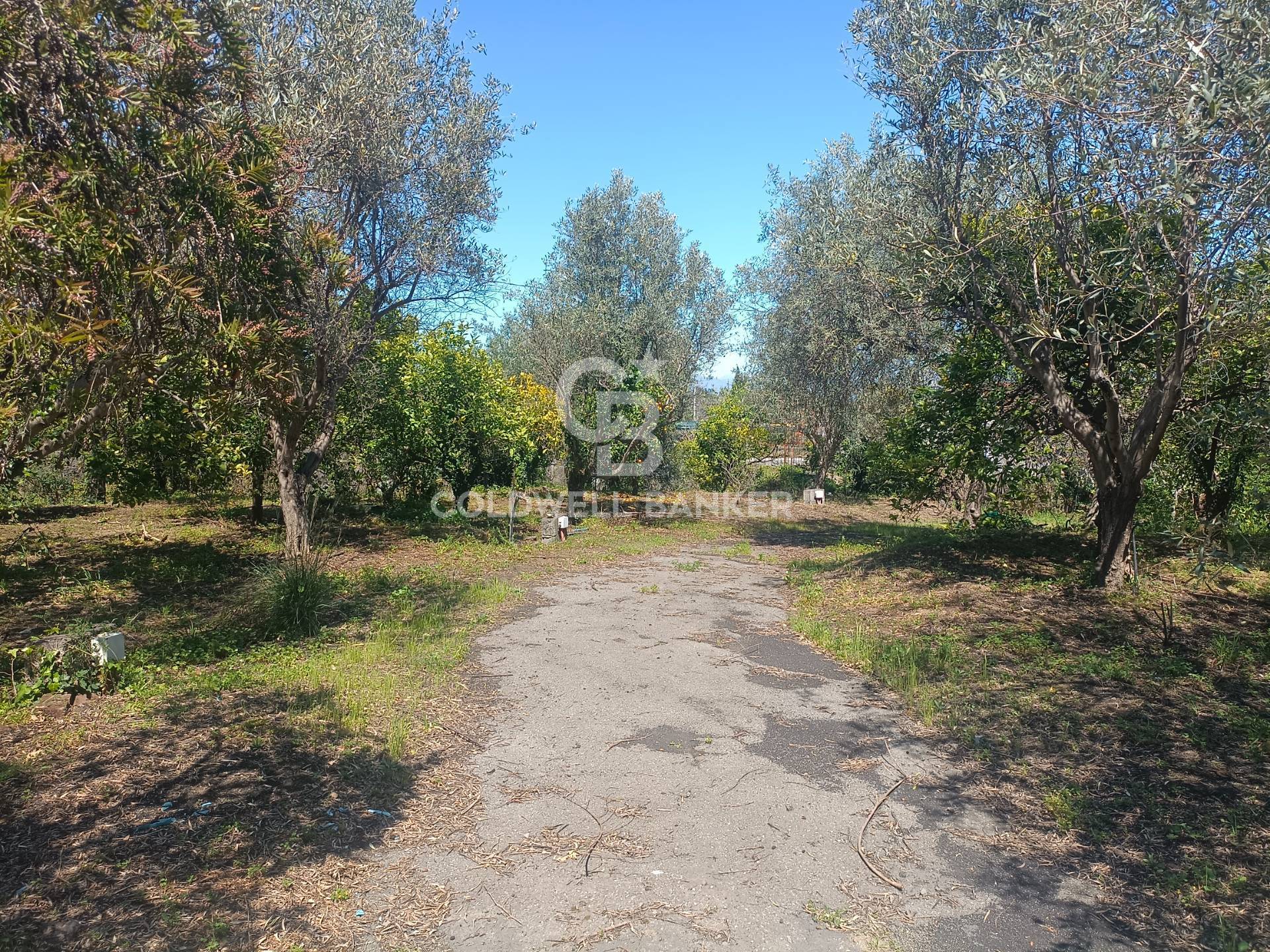 Casa indipendente in vendita a Santa Venerina