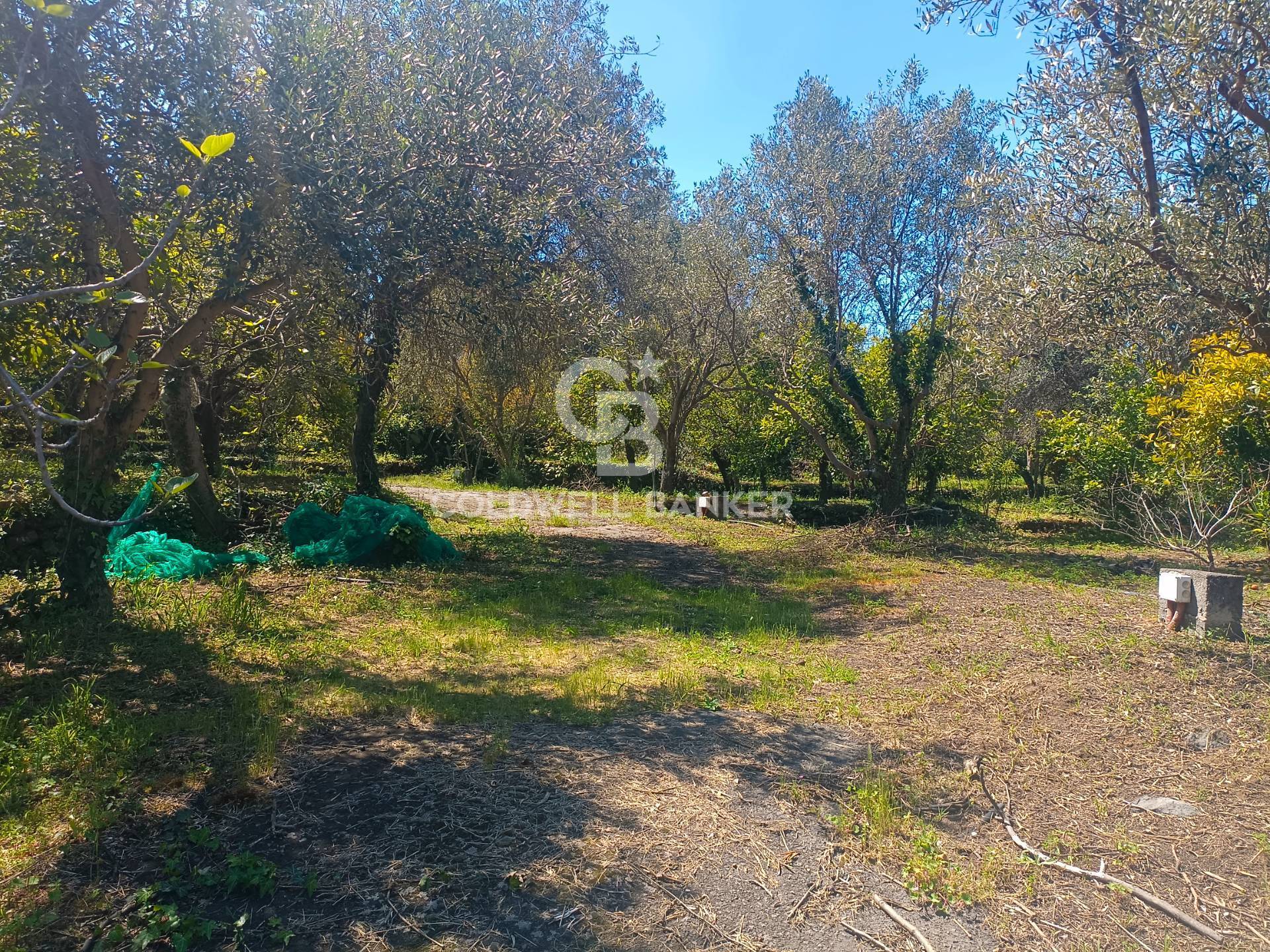 Casa indipendente in vendita a Santa Venerina